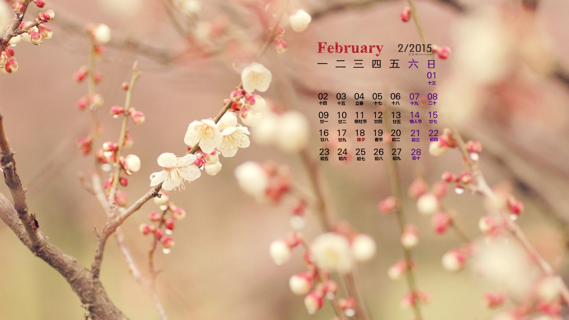 February 2015 Calendar wallpaper (1) #12 - 1920x1080