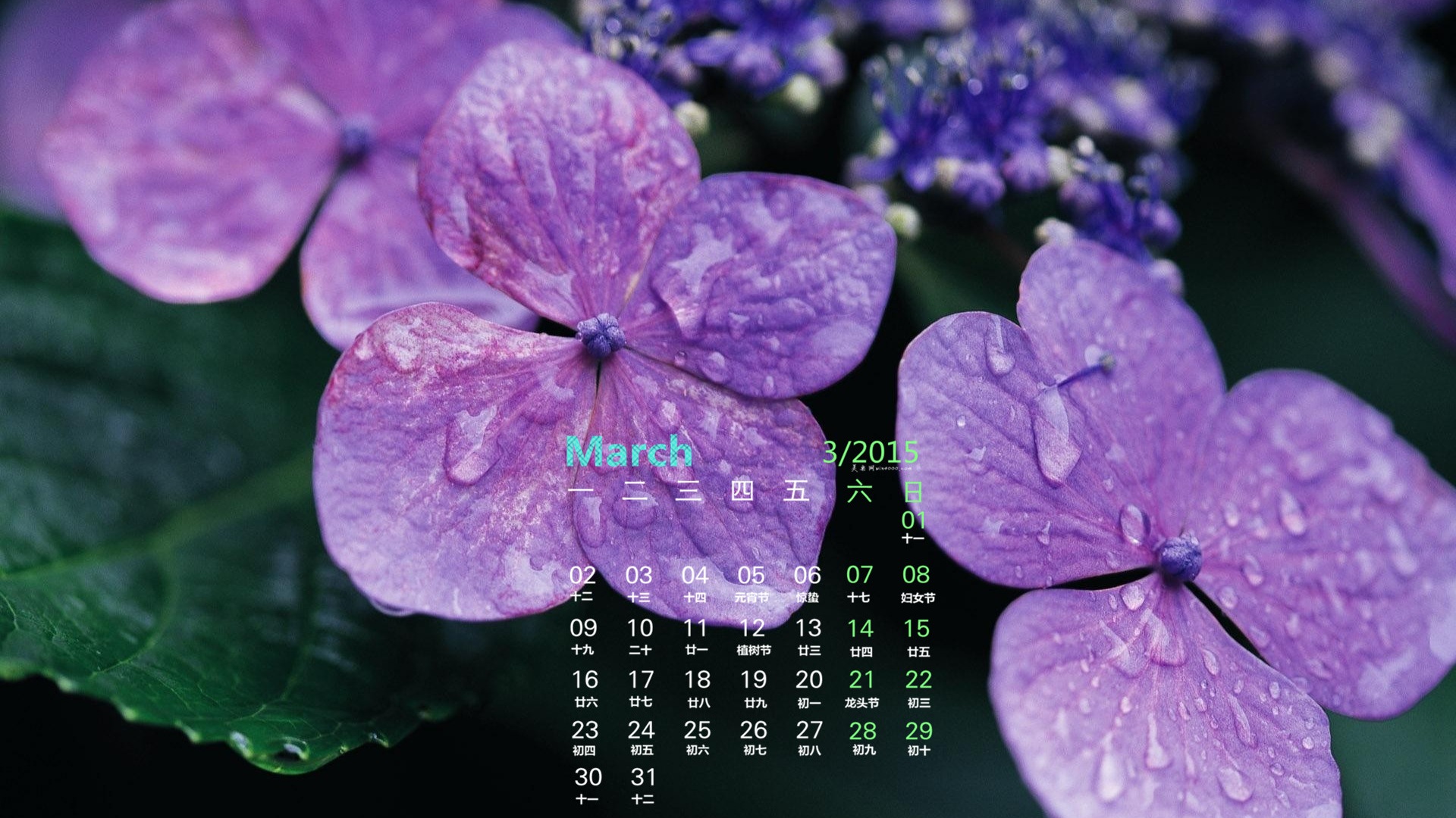März 2015 Kalender Tapete (1) #5 - 1920x1080