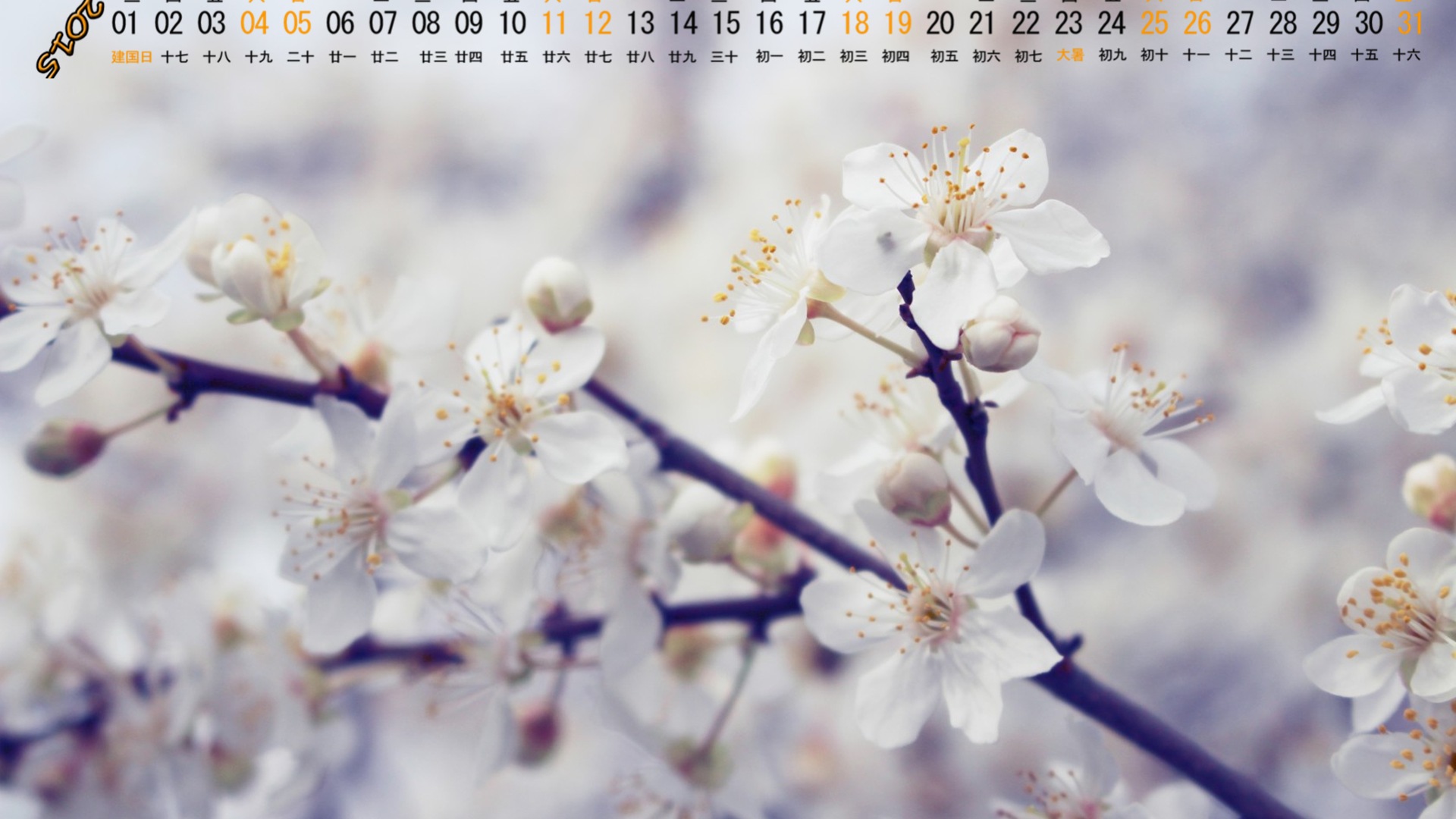 Juli 2015 Kalender Wallpaper (1) #10 - 1920x1080