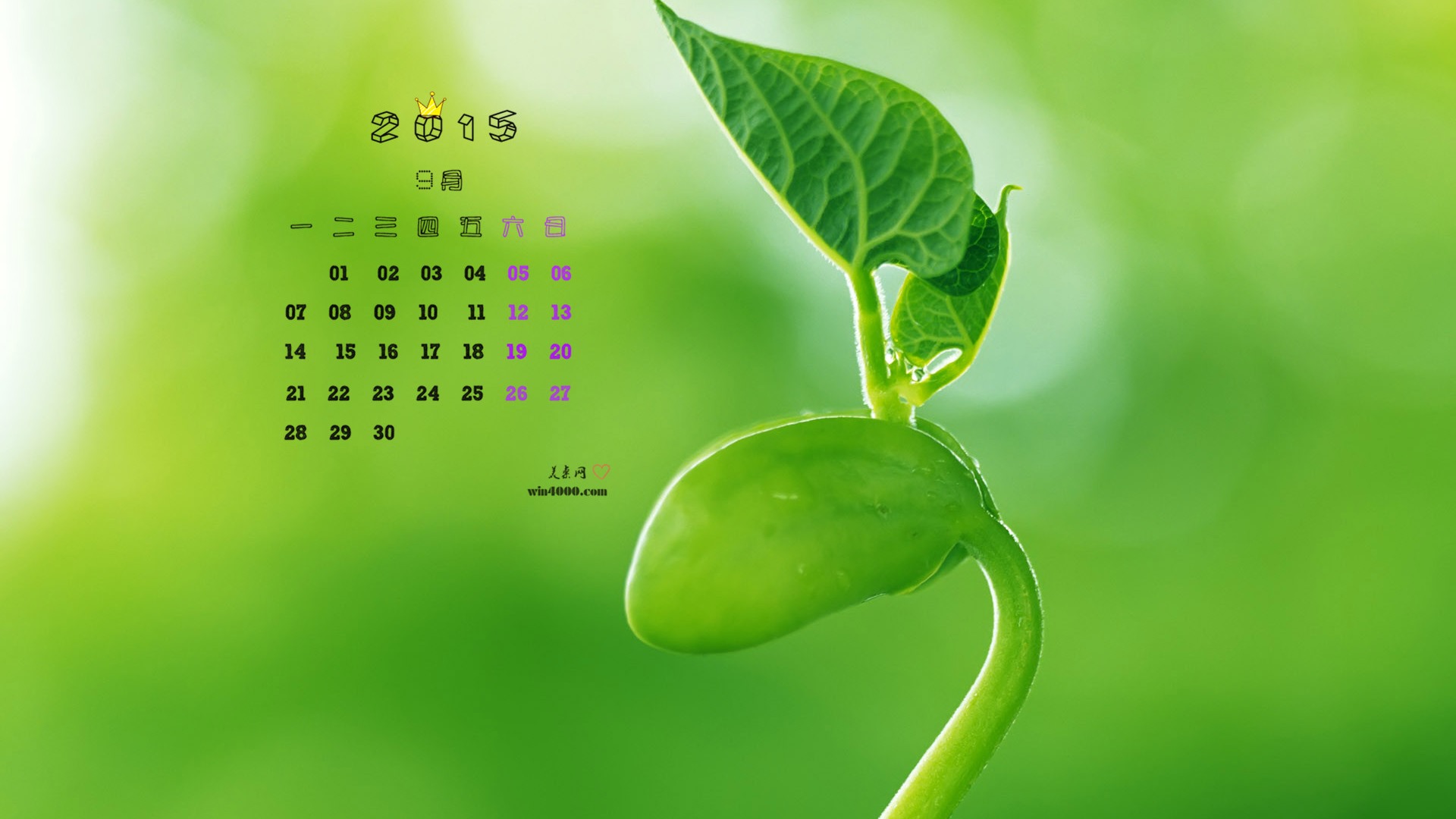 September 2015 Kalender Wallpaper (1) #5 - 1920x1080