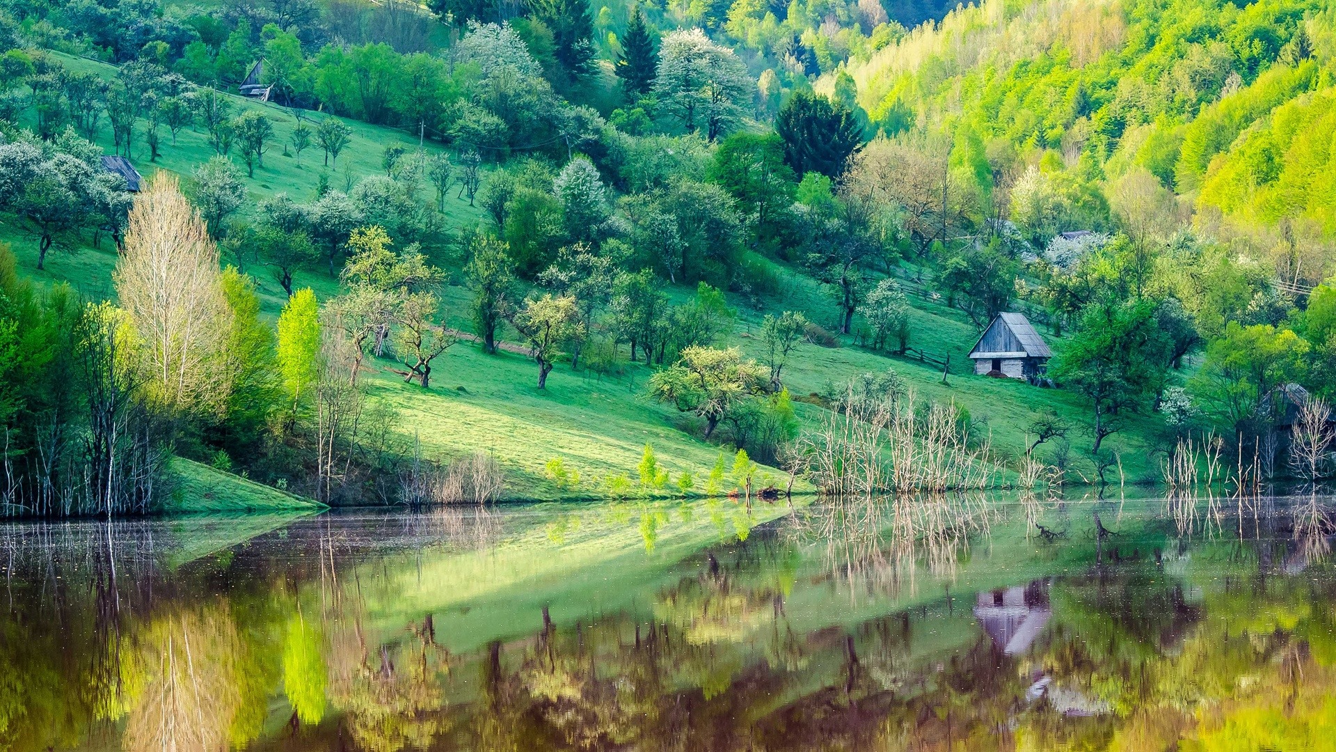 나무, 산, 물, 일출과 일몰, 자연 풍경의 HD 배경 화면 #24 - 1920x1080