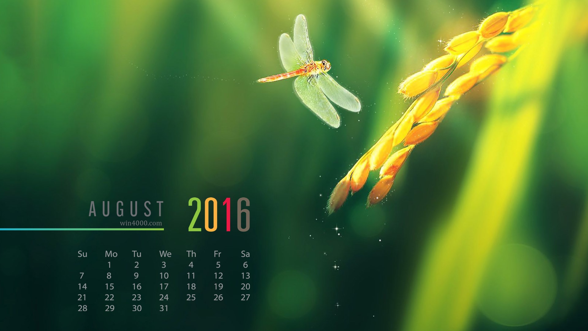 De agosto de el año 2016 fondo de pantalla de calendario (2) #2 - 1920x1080