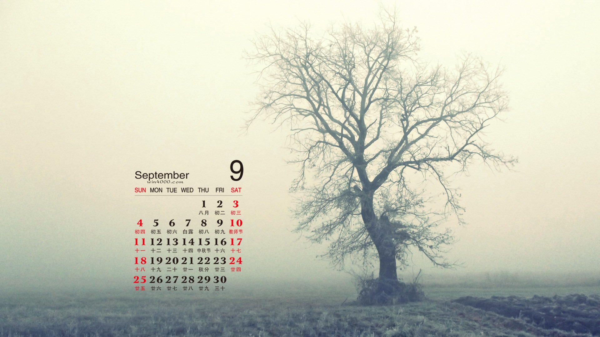 De septiembre de fondo de pantalla de calendario el año 2016 (2) #8 - 1920x1080