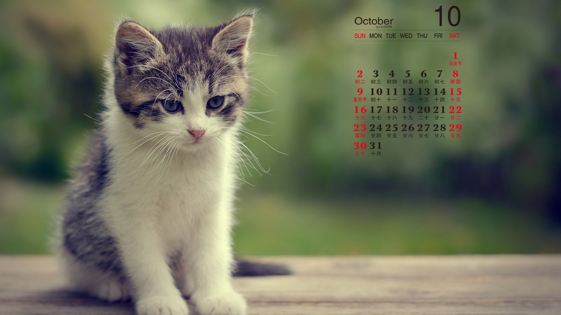 Октябрь 2016 обои календарь (1) #8 - 1920x1080