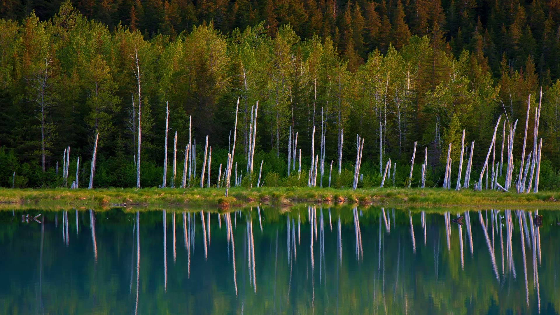 August 2016 Bing theme HD wallpapers (2) #21 - 1920x1080