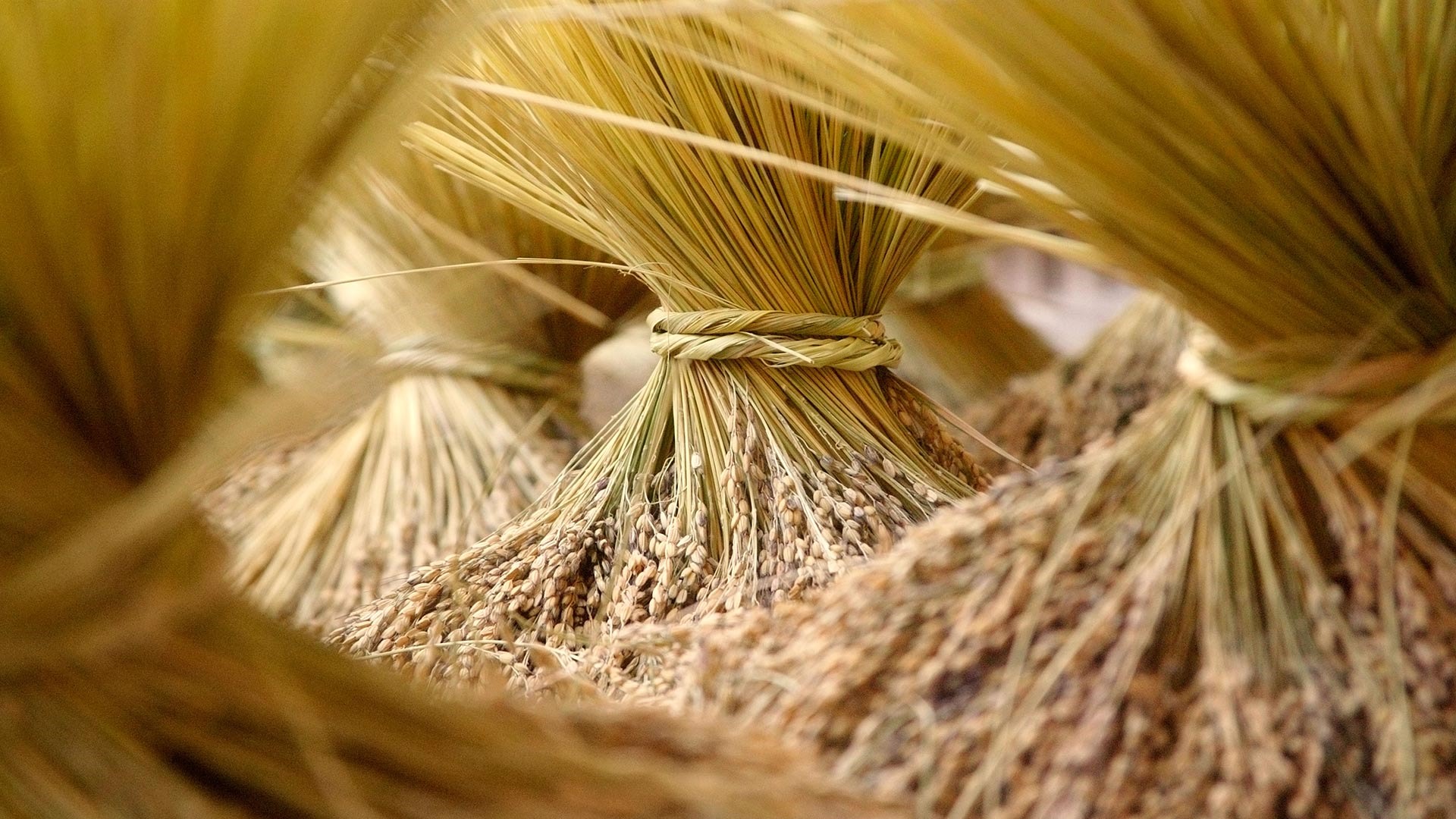 Septiembre de 2016 Bing tema HD fondos de pantalla (2) #6 - 1920x1080