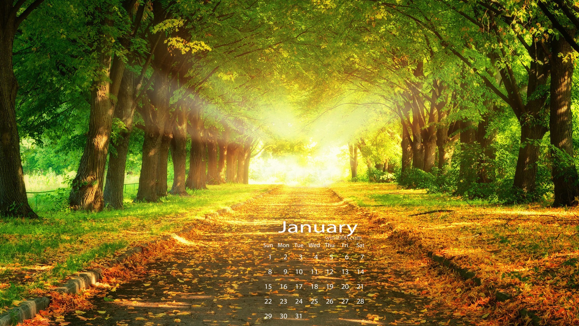 Januar 2017 Kalender Hintergrund (1) #2 - 1920x1080