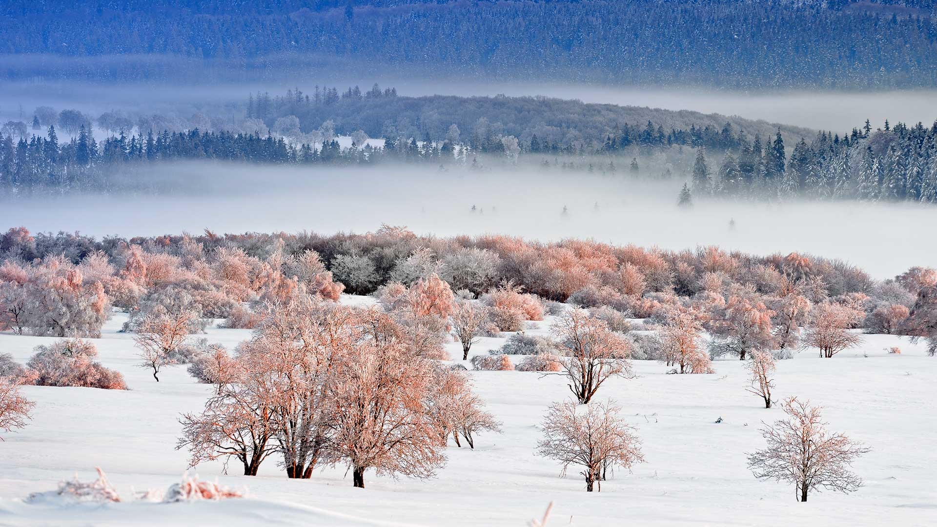 Januar 2017 Bing Thema der High-Definition-Tapete (1) #14 - 1920x1080