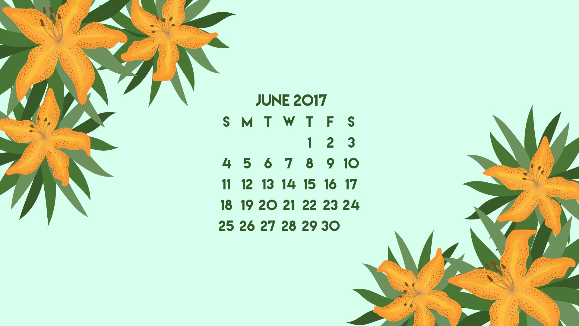 June 2017 calendar wallpaper #3 - 1920x1080