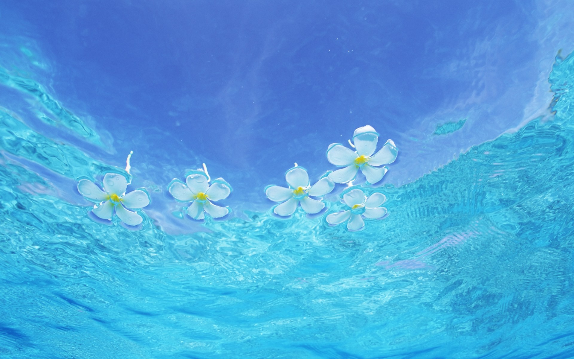 馬爾代夫的水和天 #11 - 1920x1200