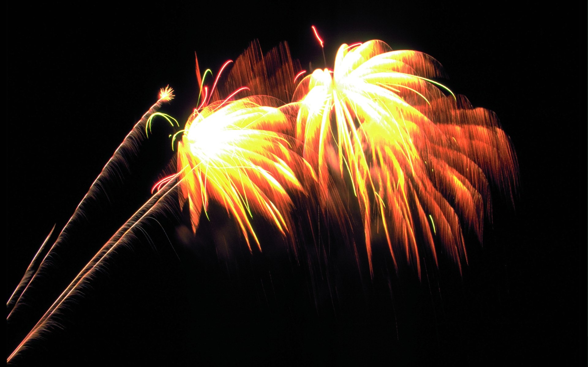 Festival fireworks display wallpaper #27 - 1920x1200