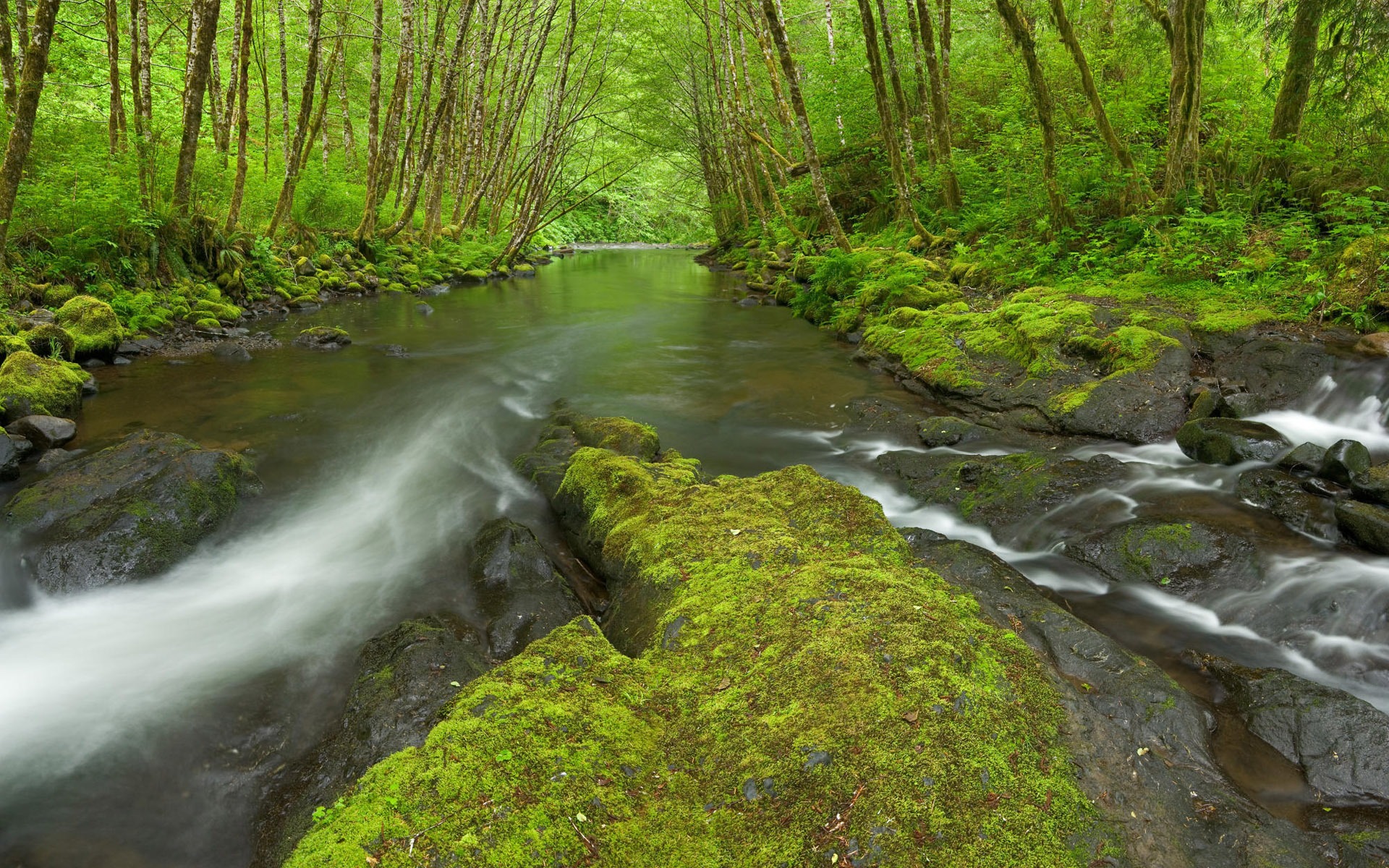 Water streams HD Wallpapers #11 - 1920x1200