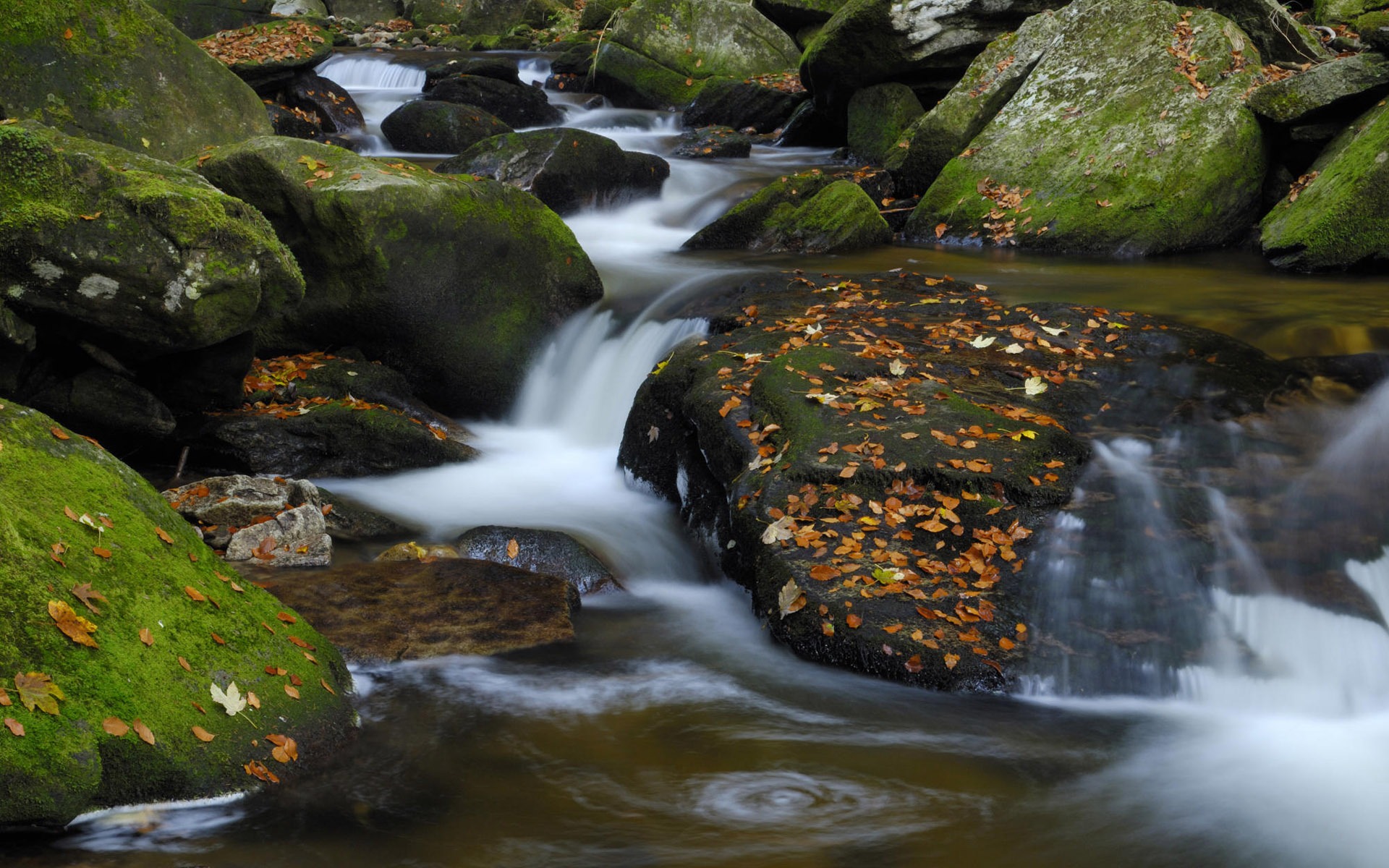 Water streams HD Wallpapers #13 - 1920x1200