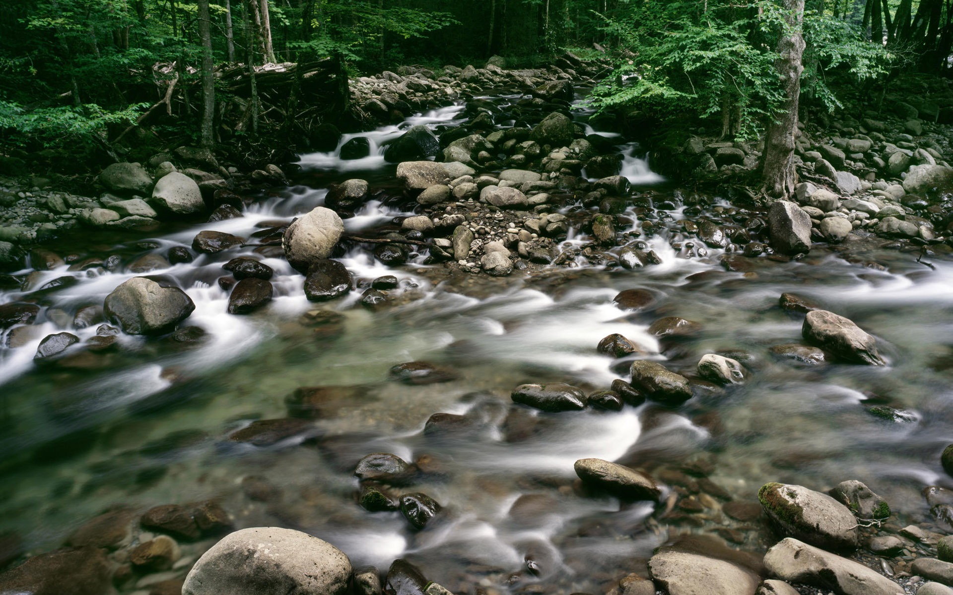 Water streams HD Wallpapers #15 - 1920x1200