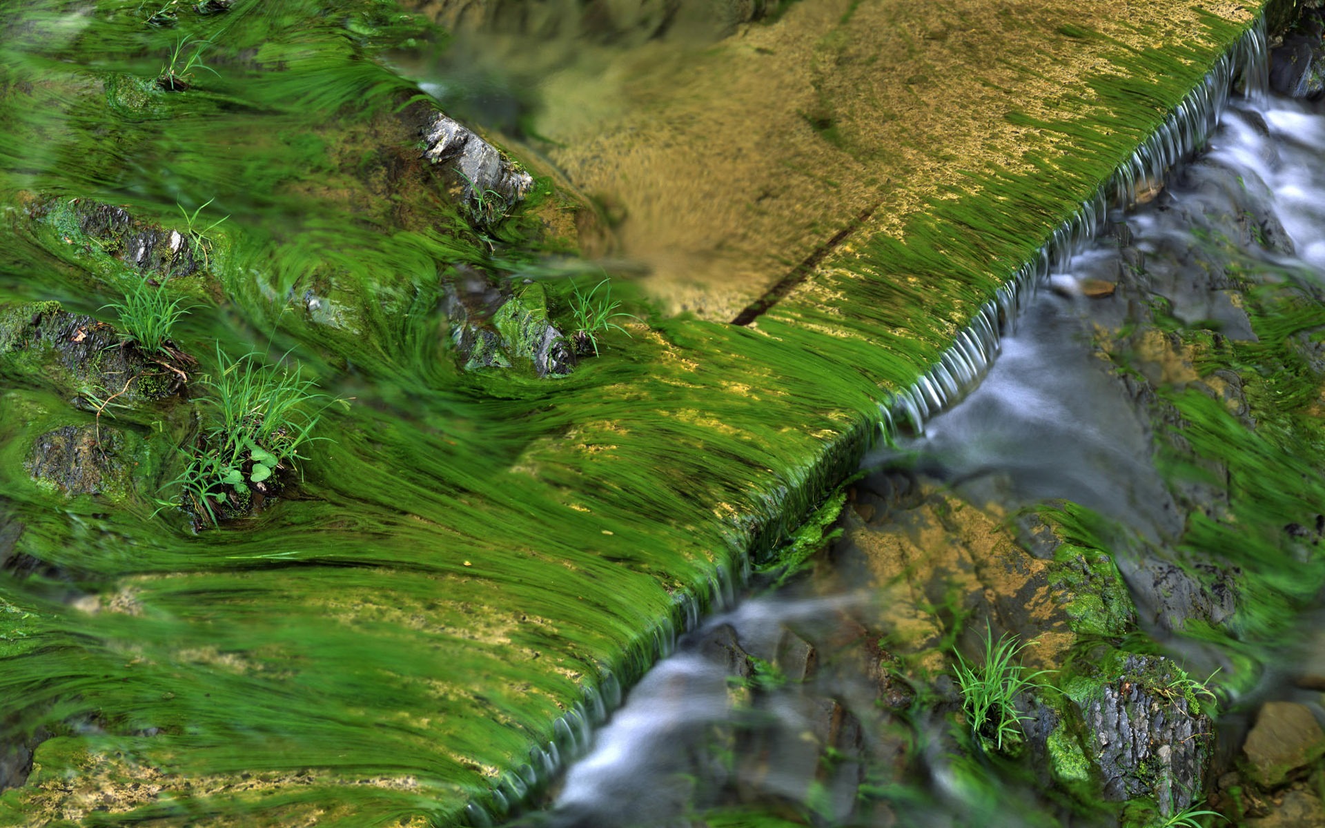 Water streams HD Wallpapers #16 - 1920x1200