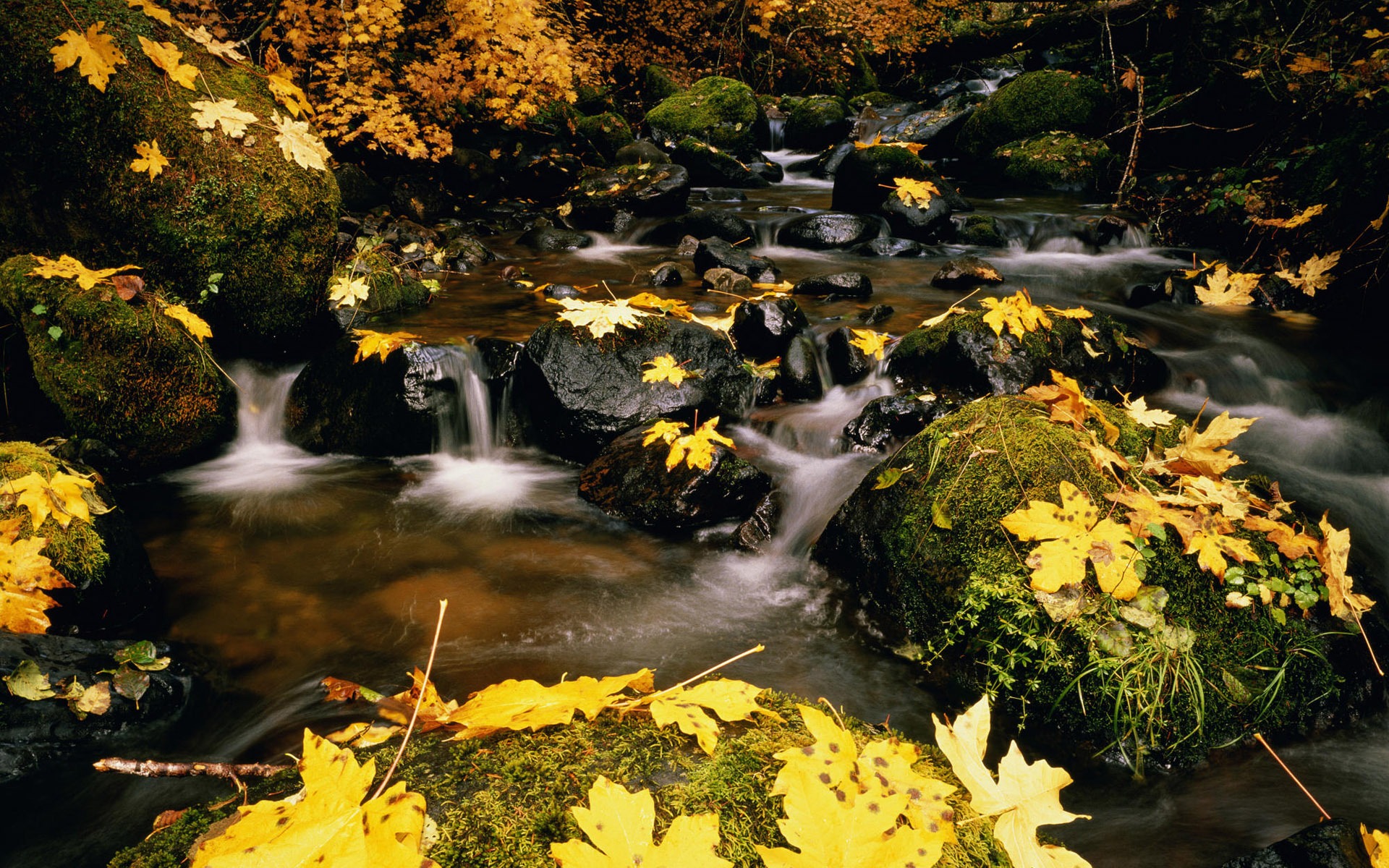 Water streams HD Wallpapers #17 - 1920x1200