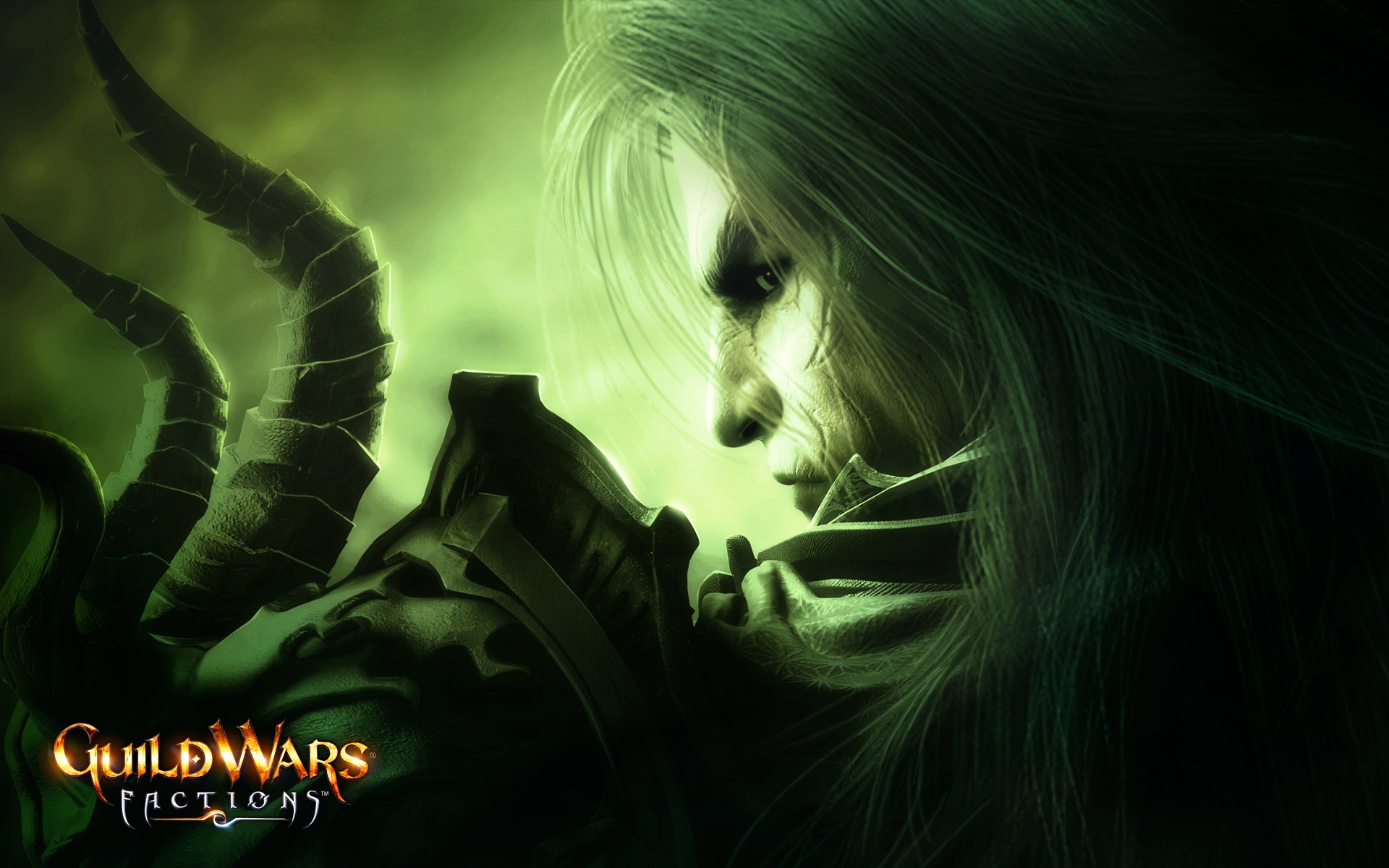 Guildwars wallpaper (3) #11 - 1920x1200