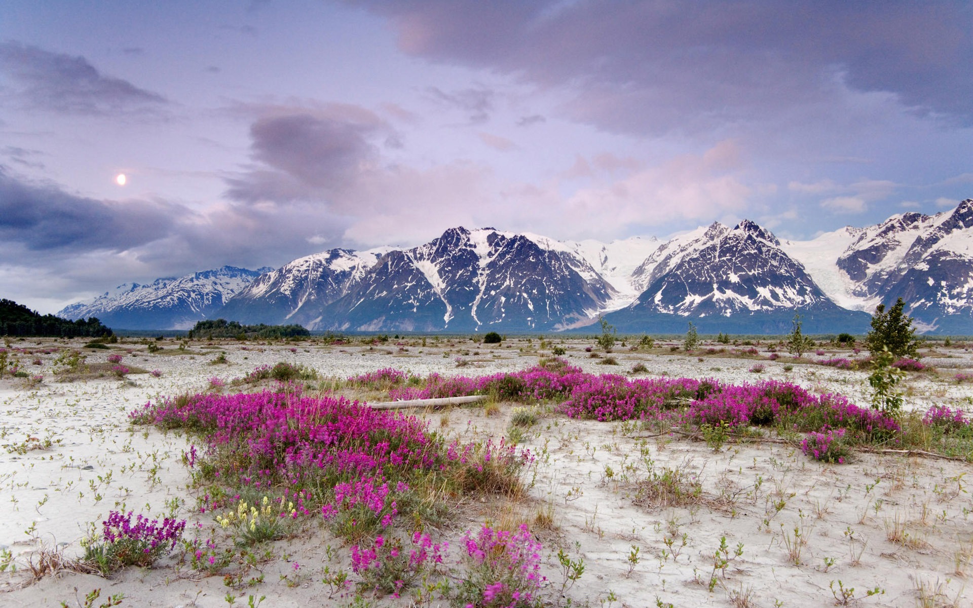 Fondos de escritorio de paisajes de Alaska (2) #18 - 1920x1200
