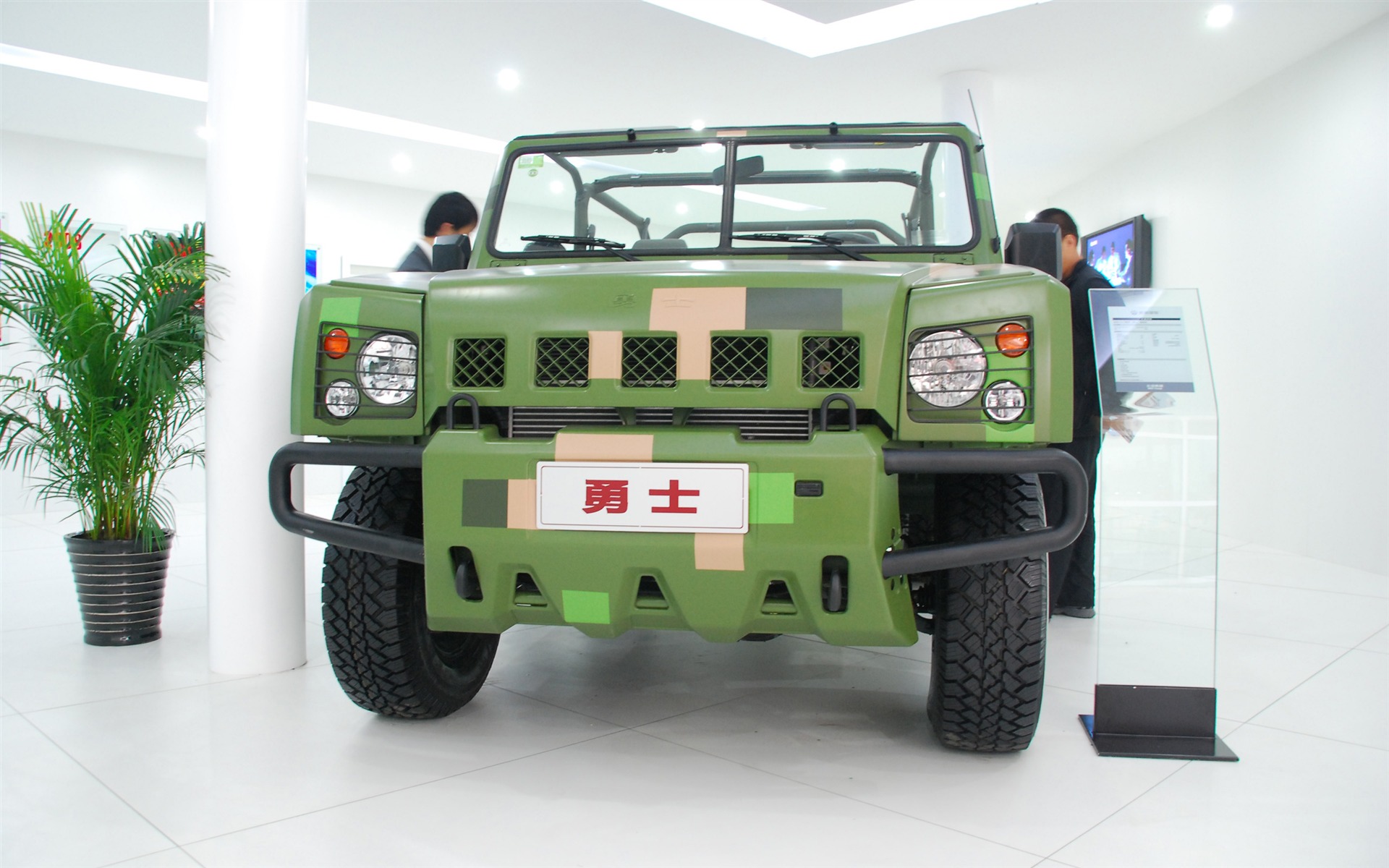 2010北京国际车展(一) (z321x123作品)10 - 1920x1200