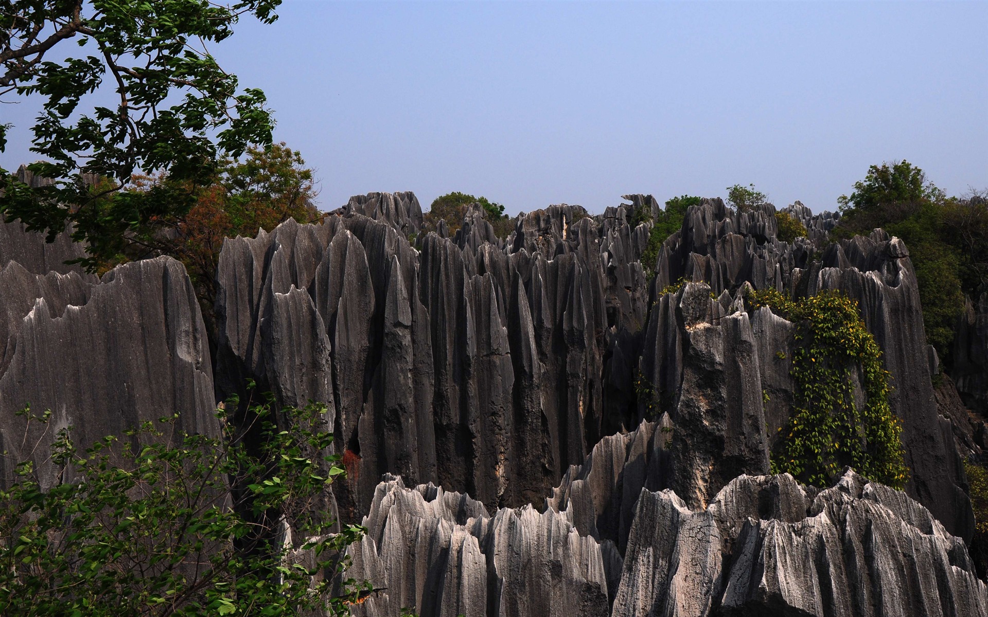 Bosque de Piedras de Yunnan en línea (1) (obras Khitan lobo) #19 - 1920x1200