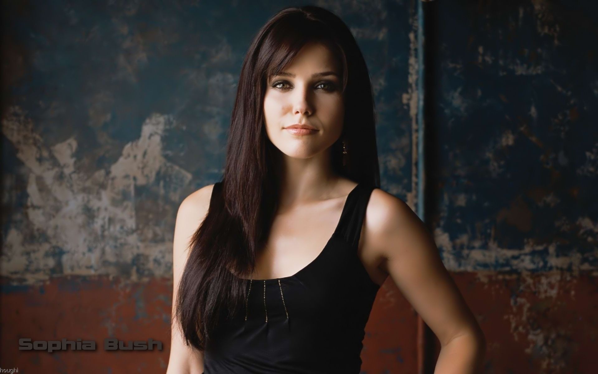 Sophia Bush hermoso fondo de pantalla #4 - 1920x1200