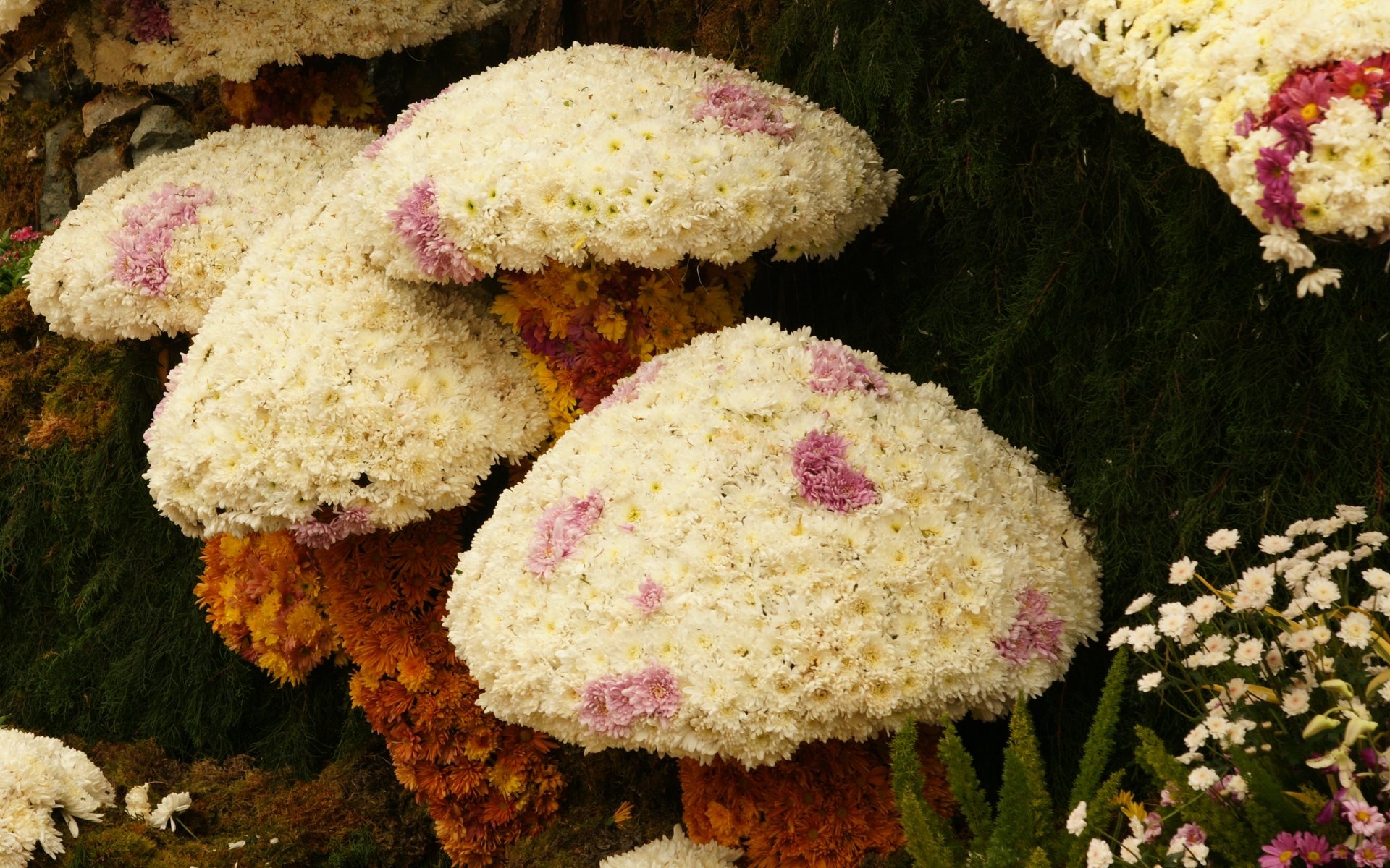 Bunte Blumen schmücken Tapete (1) #6 - 1920x1200