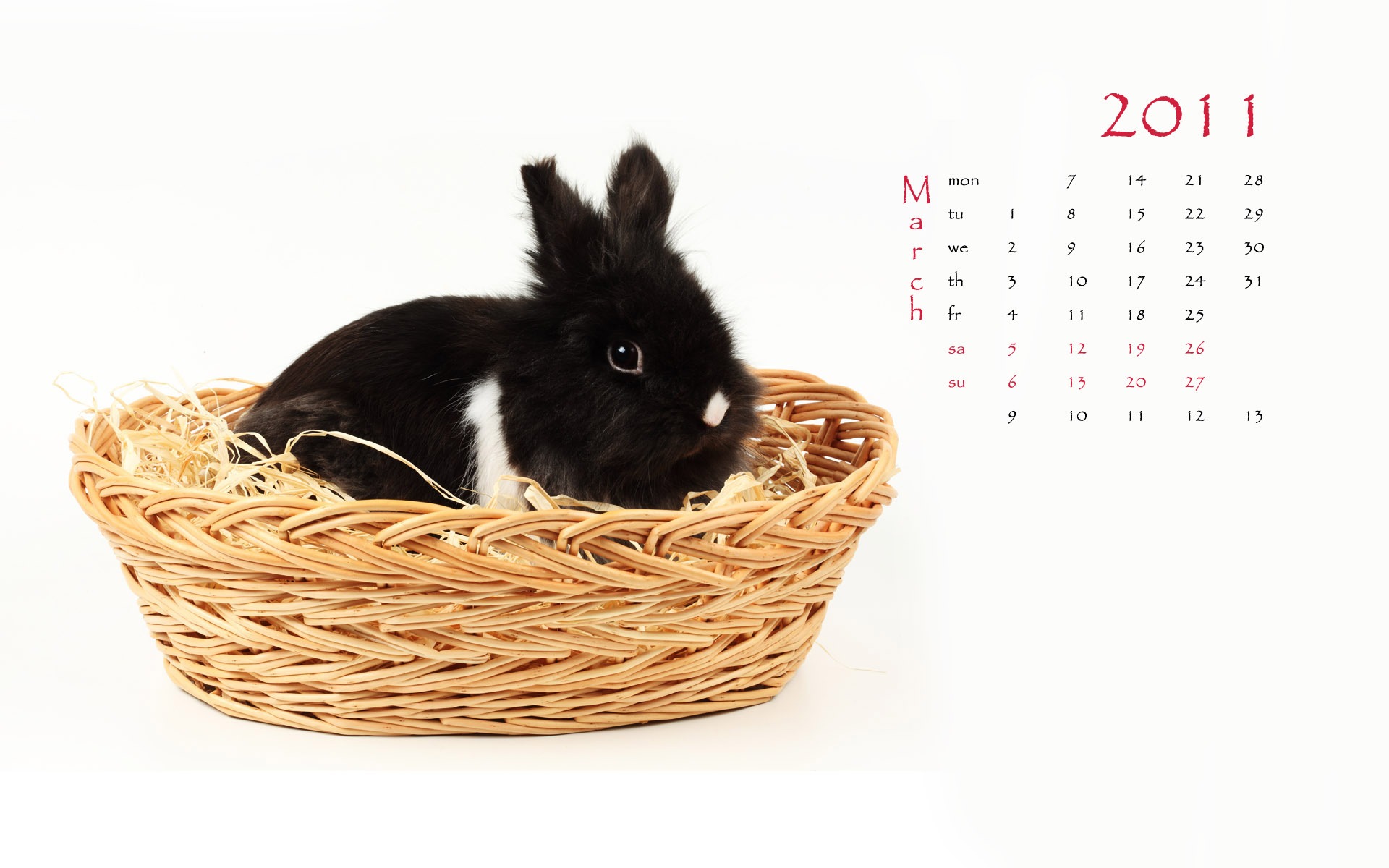 Year of the Rabbit 2011 calendar wallpaper (1) #3 - 1920x1200