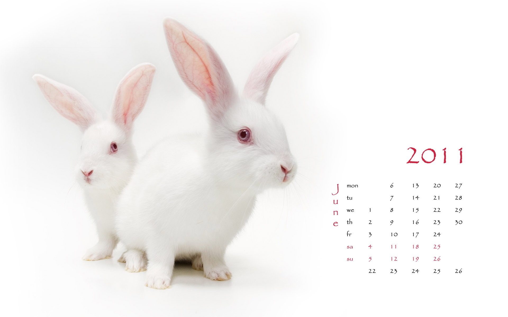 Year of the Rabbit 2011 calendar wallpaper (1) #6 - 1920x1200