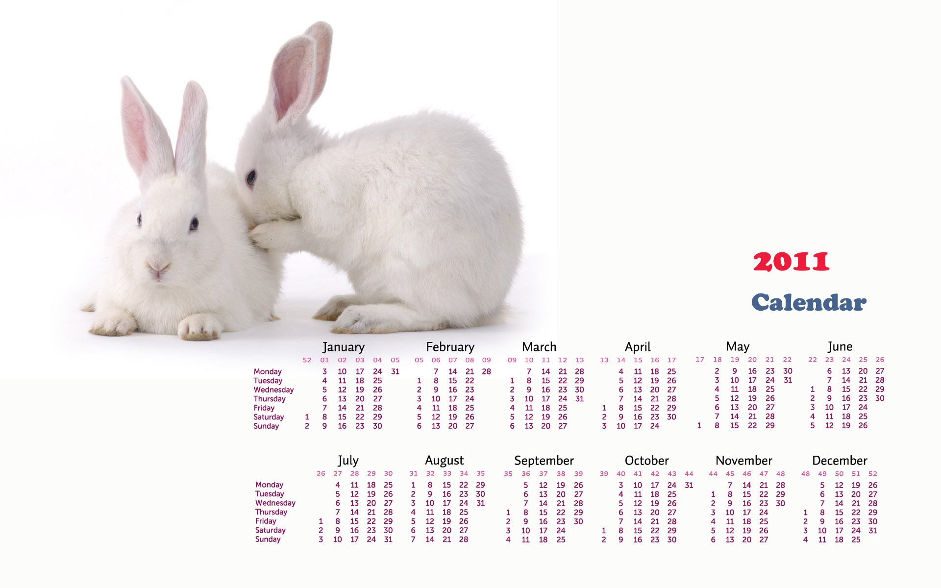 Year of the Rabbit 2011 calendar wallpaper (1) #17 - 1920x1200