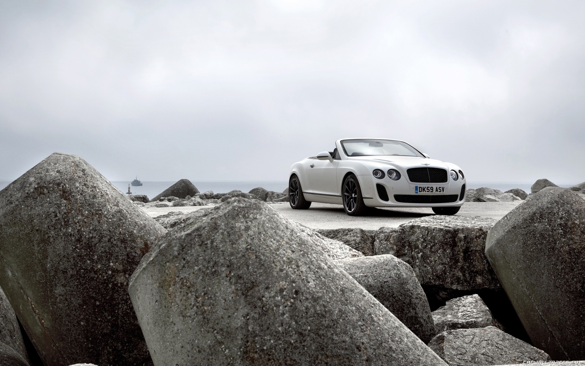 Bentley Continental Supersports Convertible - 2010 賓利 #34 - 1920x1200