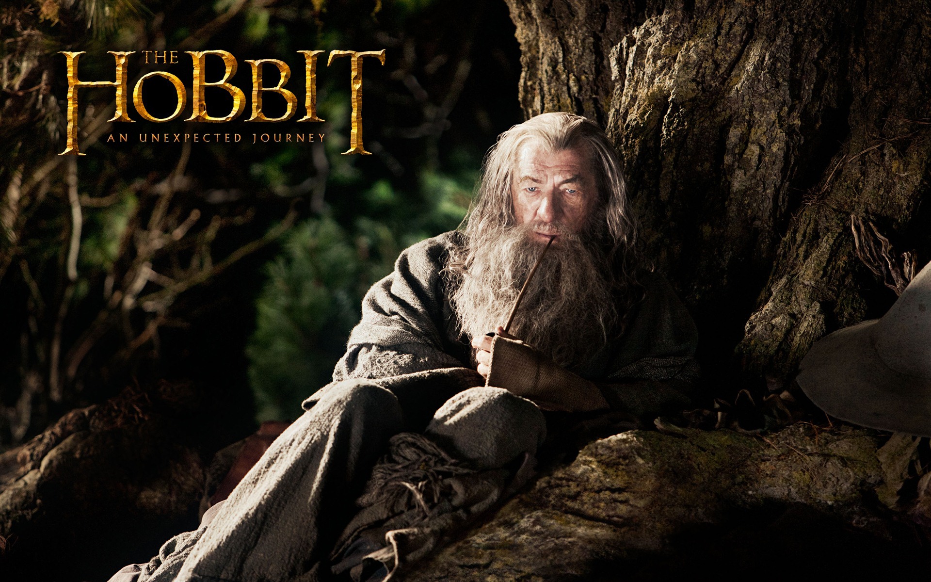 El Hobbit: Un viaje inesperado fondos de pantalla HD #10 - 1920x1200