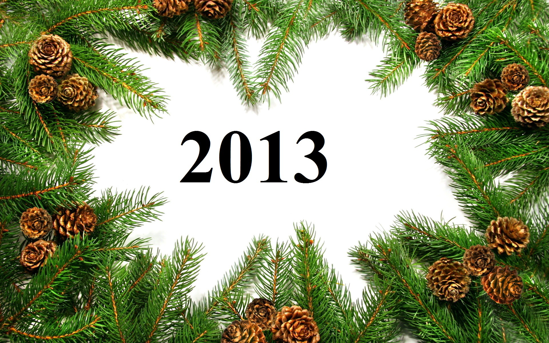 2013 Año Nuevo fondo de pantalla tema creativo (1) #20 - 1920x1200