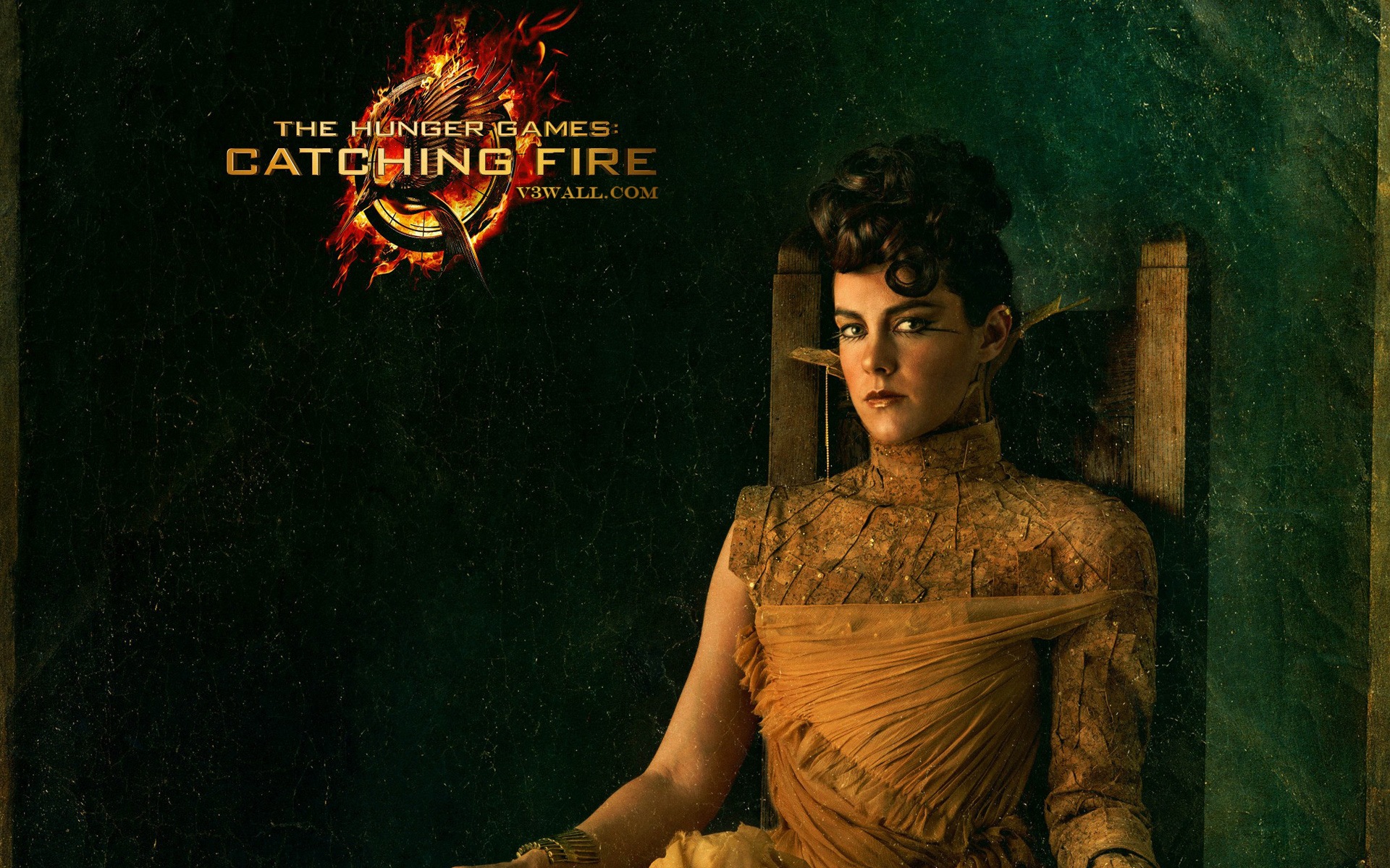 The Hunger Games: Catching Fire wallpapers HD #16 - 1920x1200