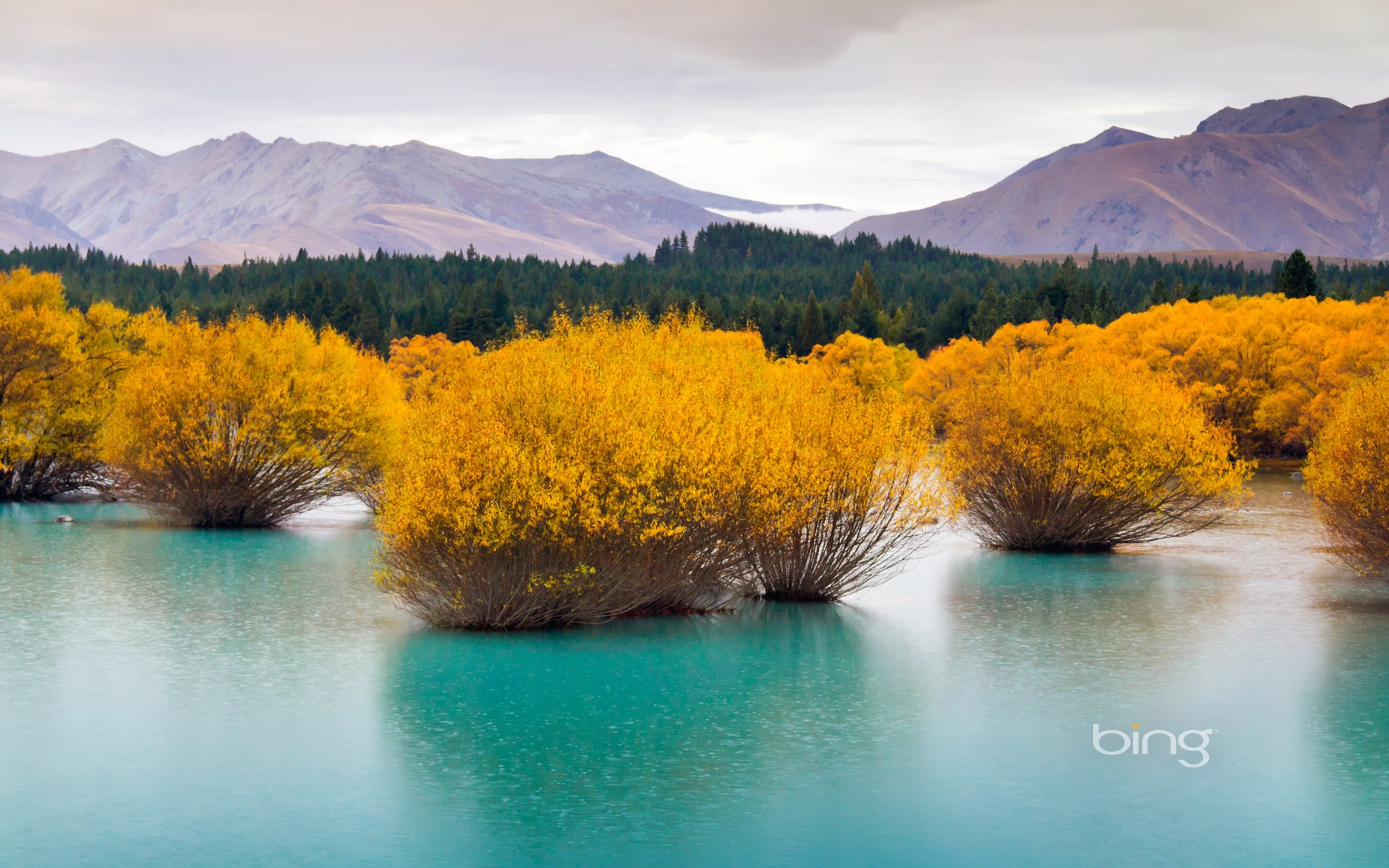 2013 Bing official theme HD wallpapers #5 - 1920x1200