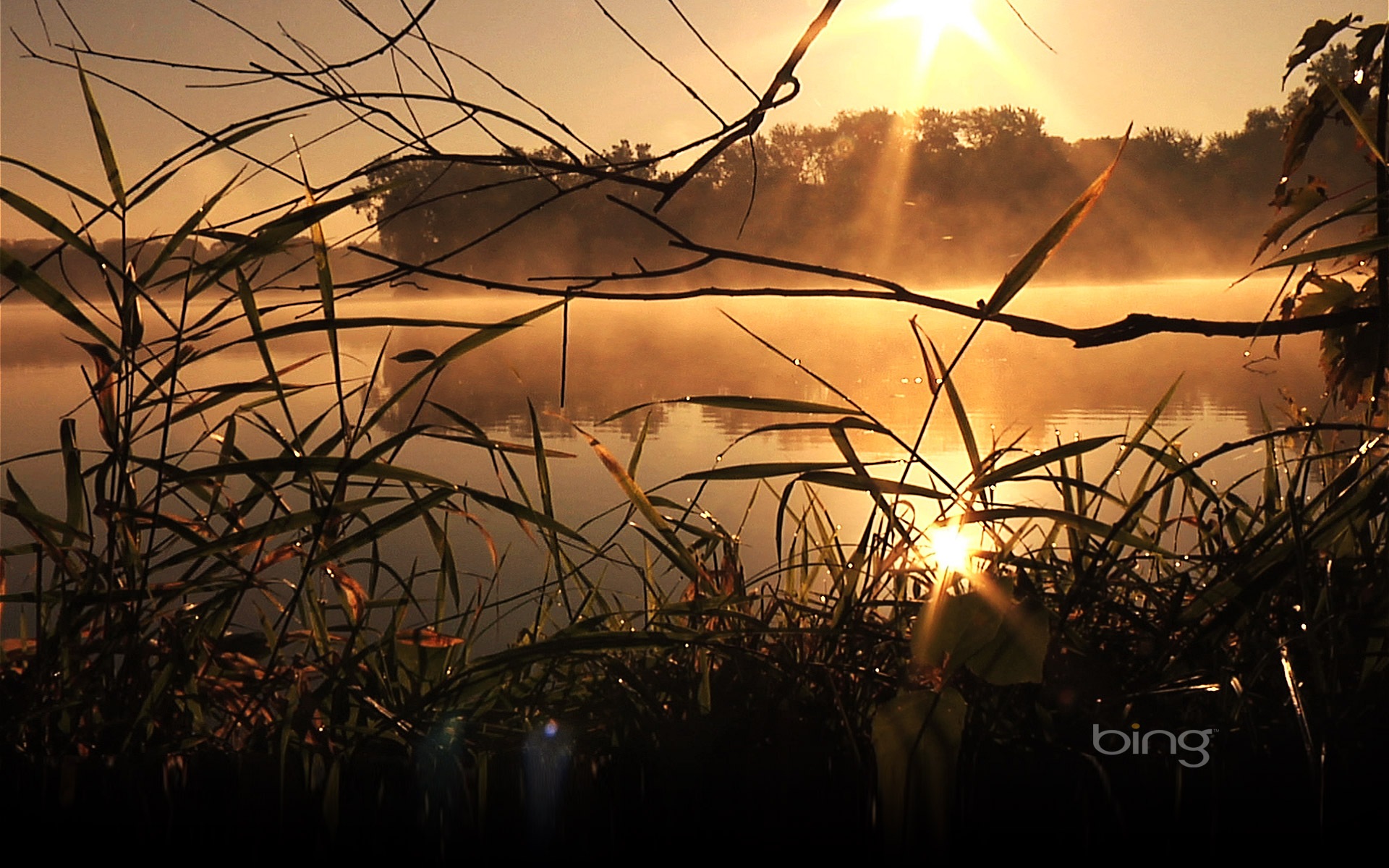 2013 Bing official theme HD wallpapers #6 - 1920x1200