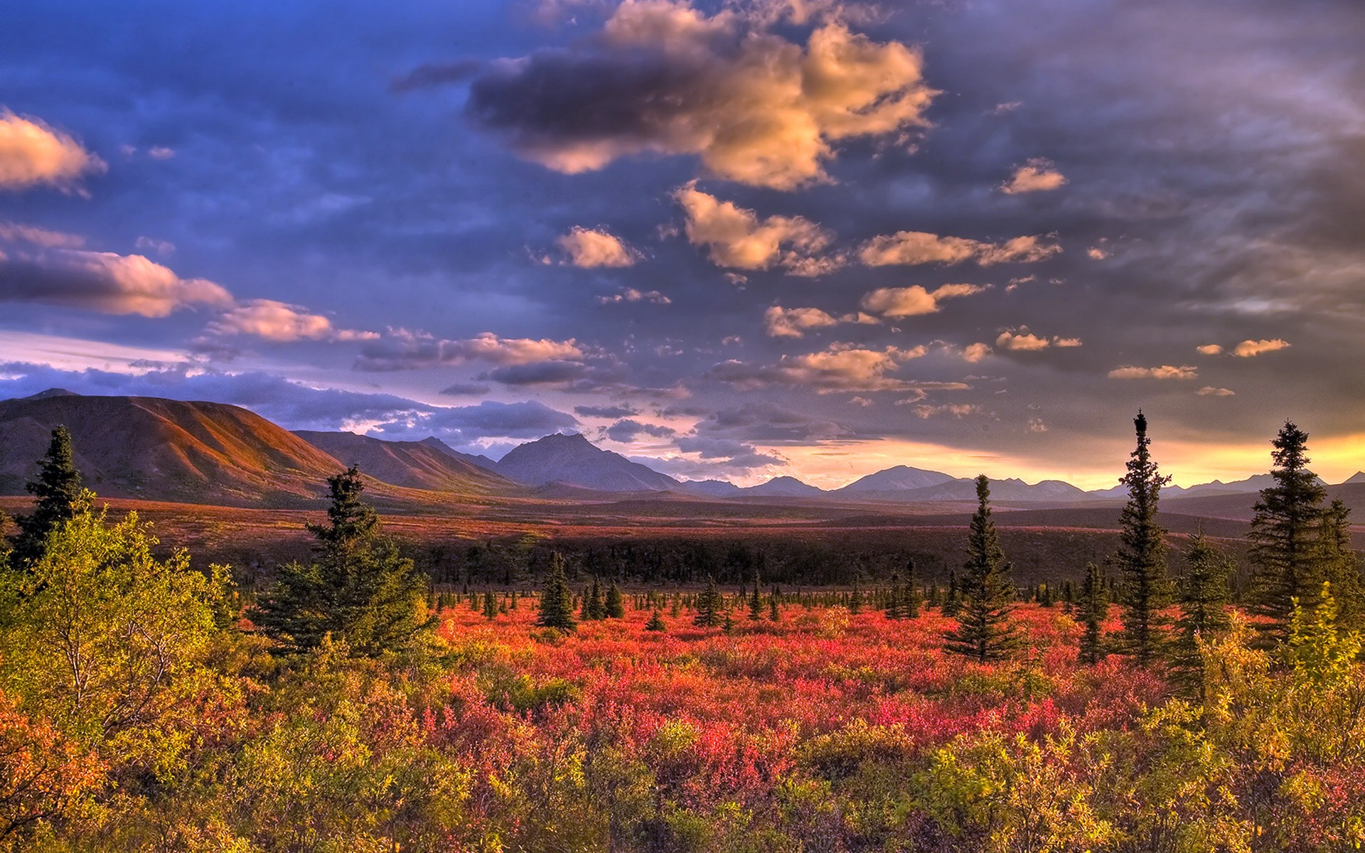 Denali National Park 丹那利国家公园 高清风景壁纸6 - 1920x1200