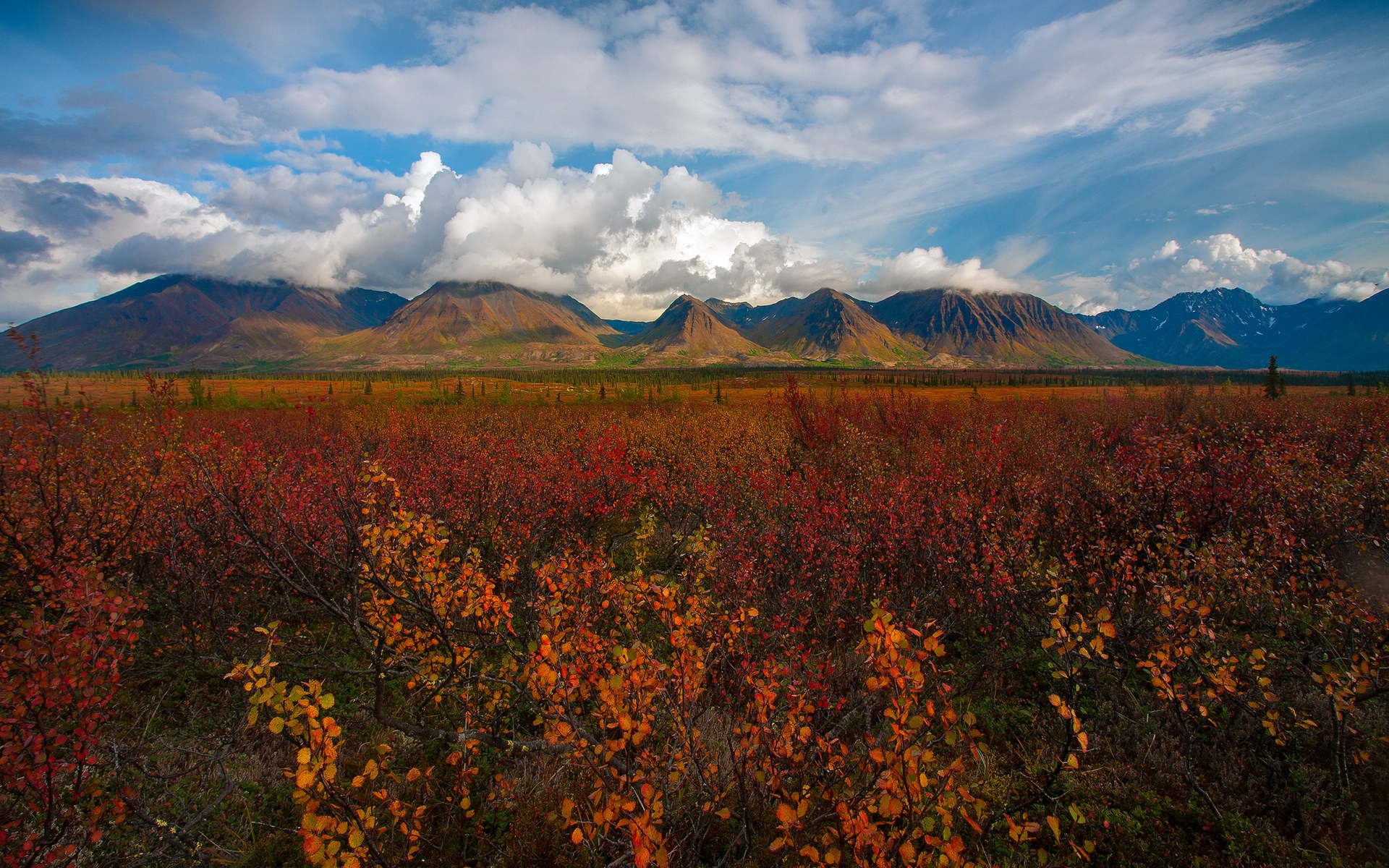 Denali National Park 丹那利国家公园 高清风景壁纸9 - 1920x1200