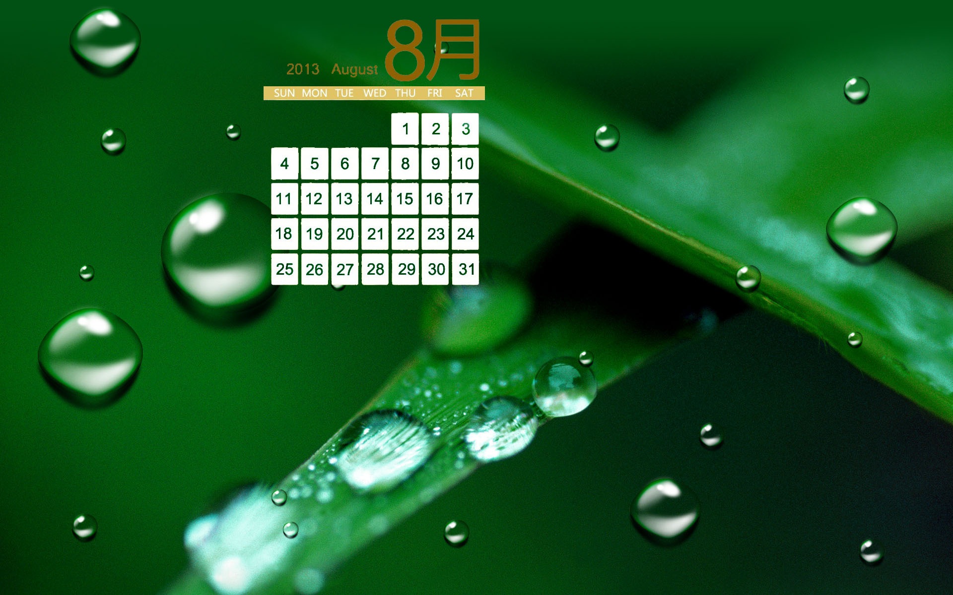 August 2013 Kalender Wallpaper (1) #14 - 1920x1200