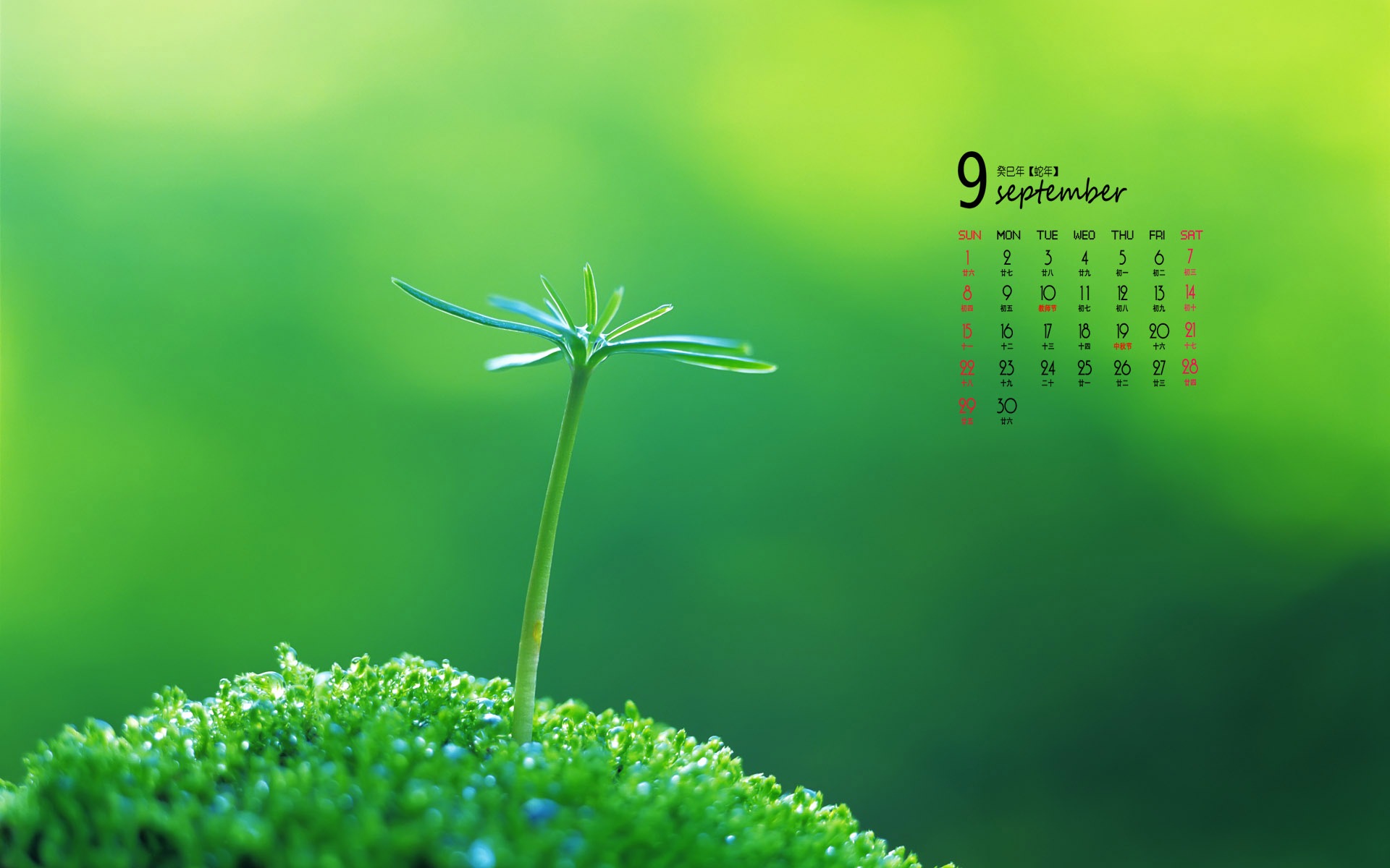 09 2013 Calendar fondo de pantalla (1) #5 - 1920x1200