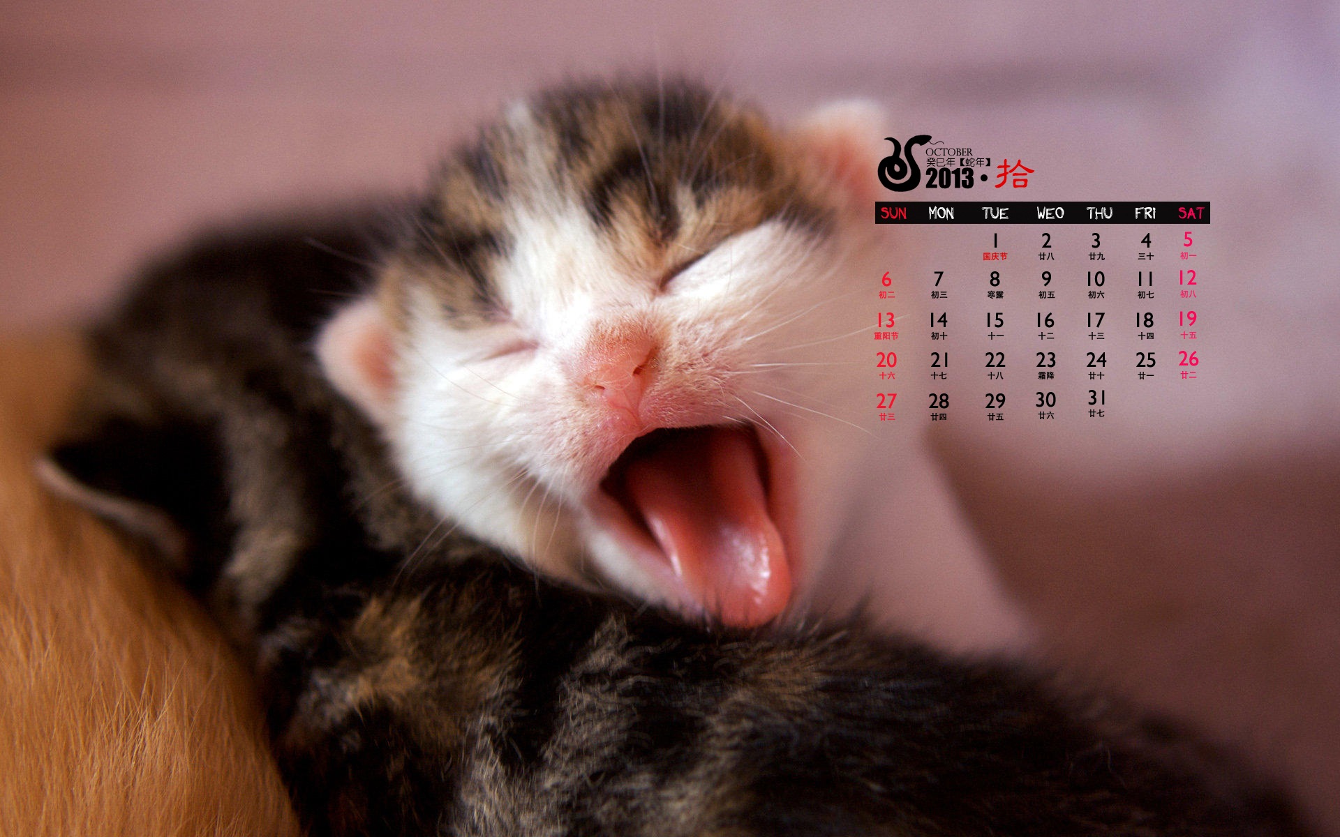 Oktober 2013 Kalender Wallpaper (1) #9 - 1920x1200