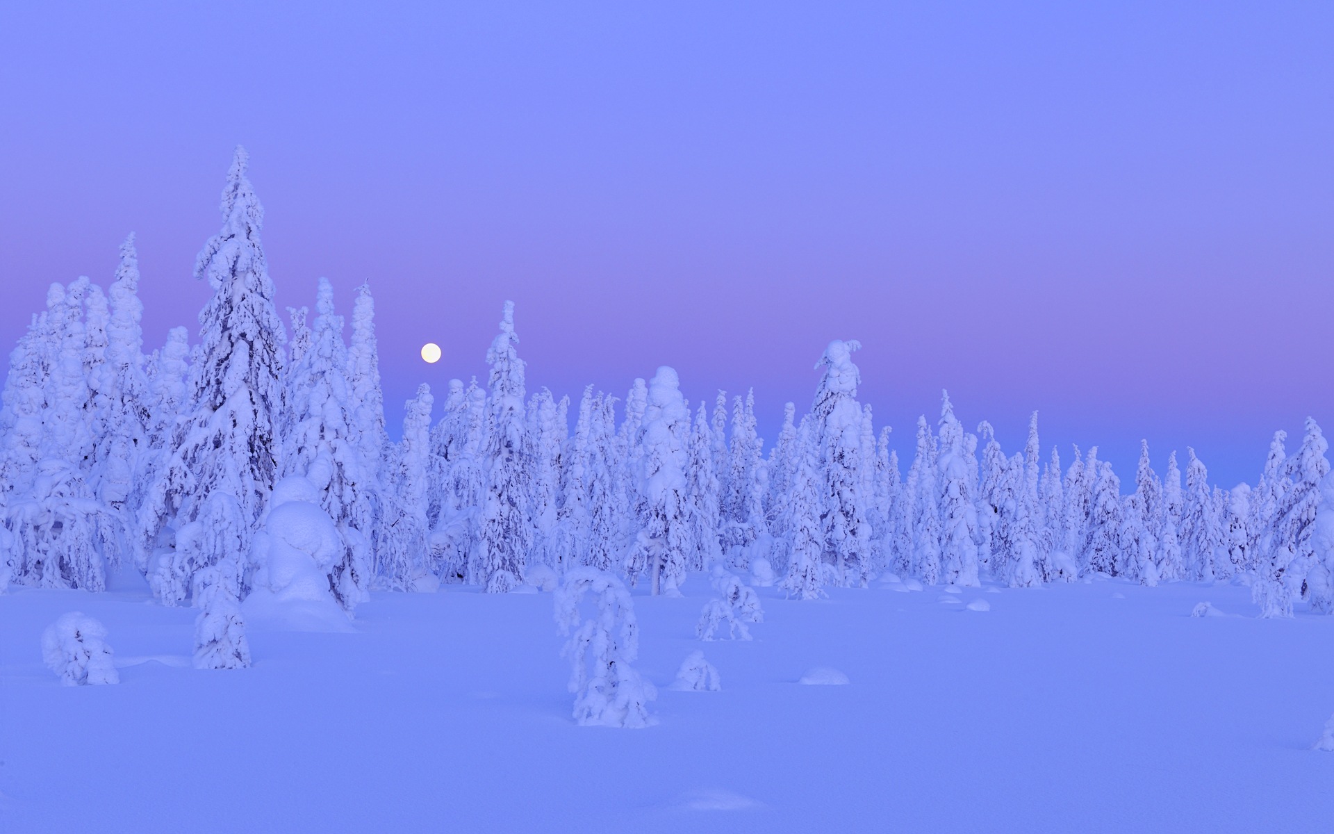 Windows 8 主题高清壁纸：冬季雪的夜景12 - 1920x1200