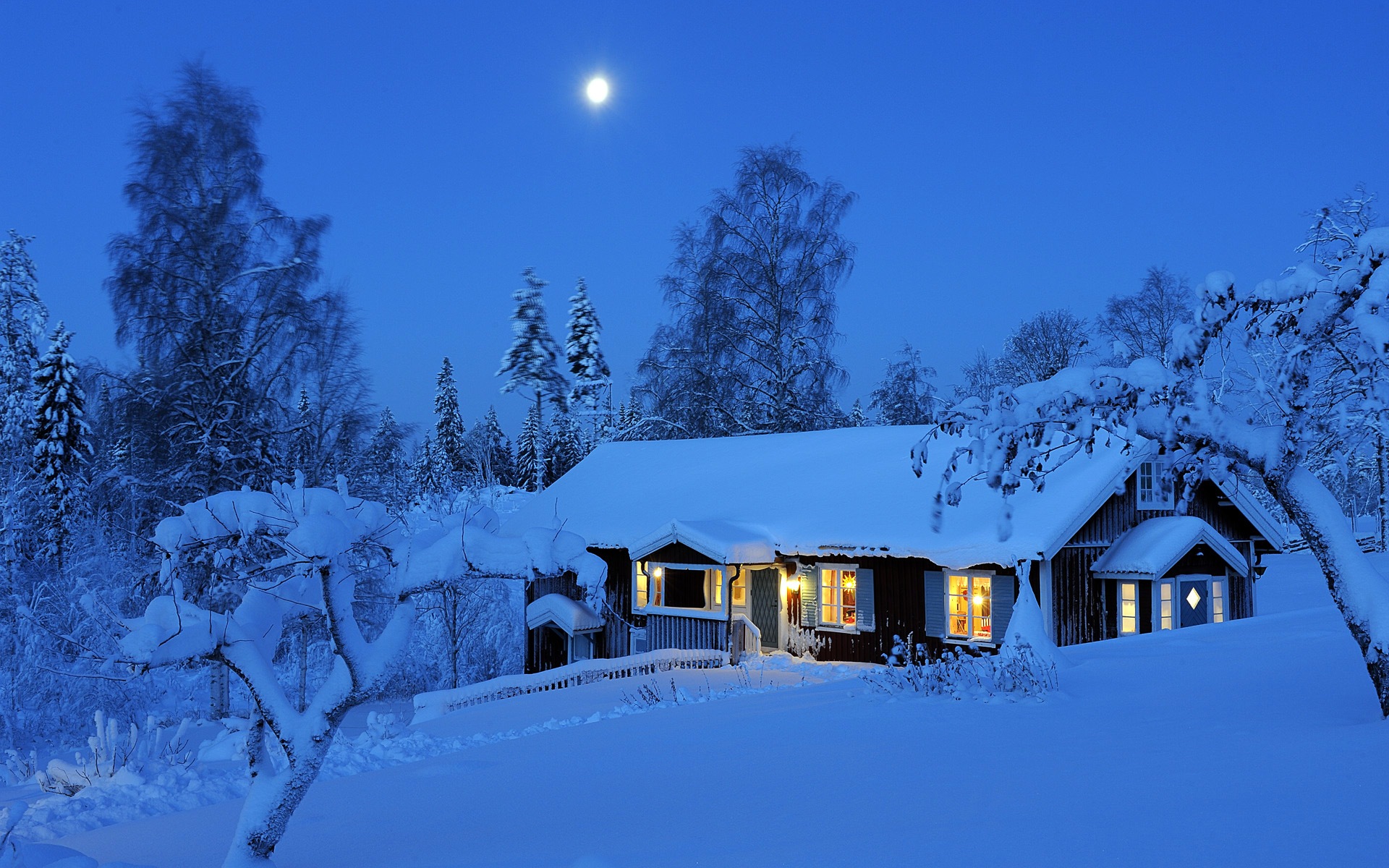 Windows 8 主题高清壁纸：冬季雪的夜景13 - 1920x1200