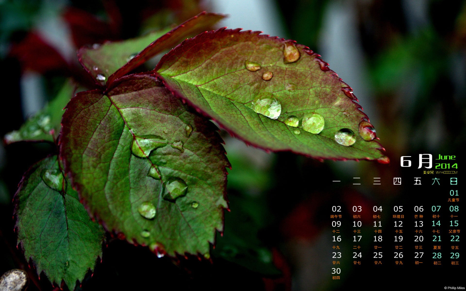 Juni 2014 Kalender Wallpaper (1) #5 - 1920x1200