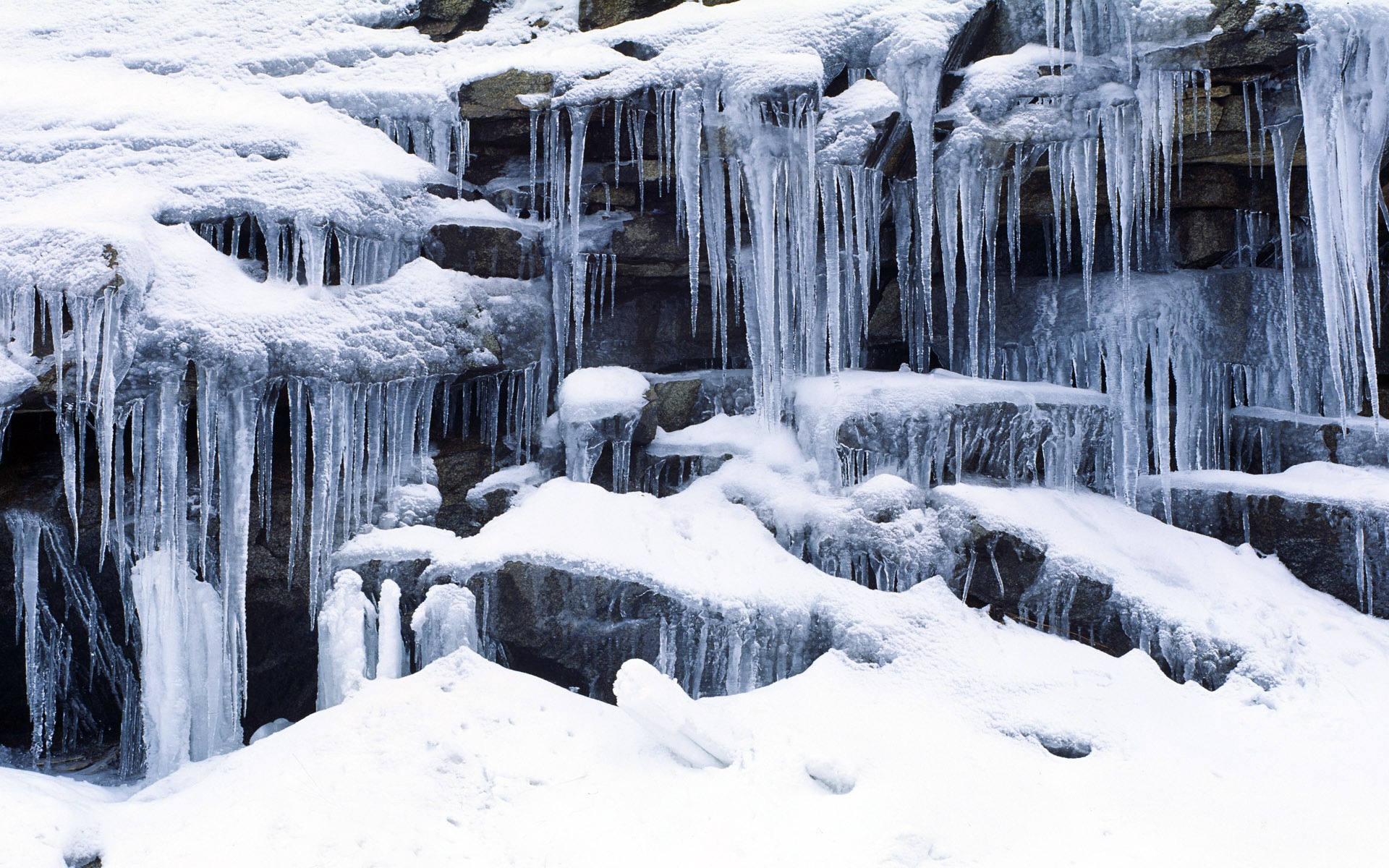 寒冷冬天美丽的雪景，Windows 8 全景宽屏壁纸7 - 1920x1200
