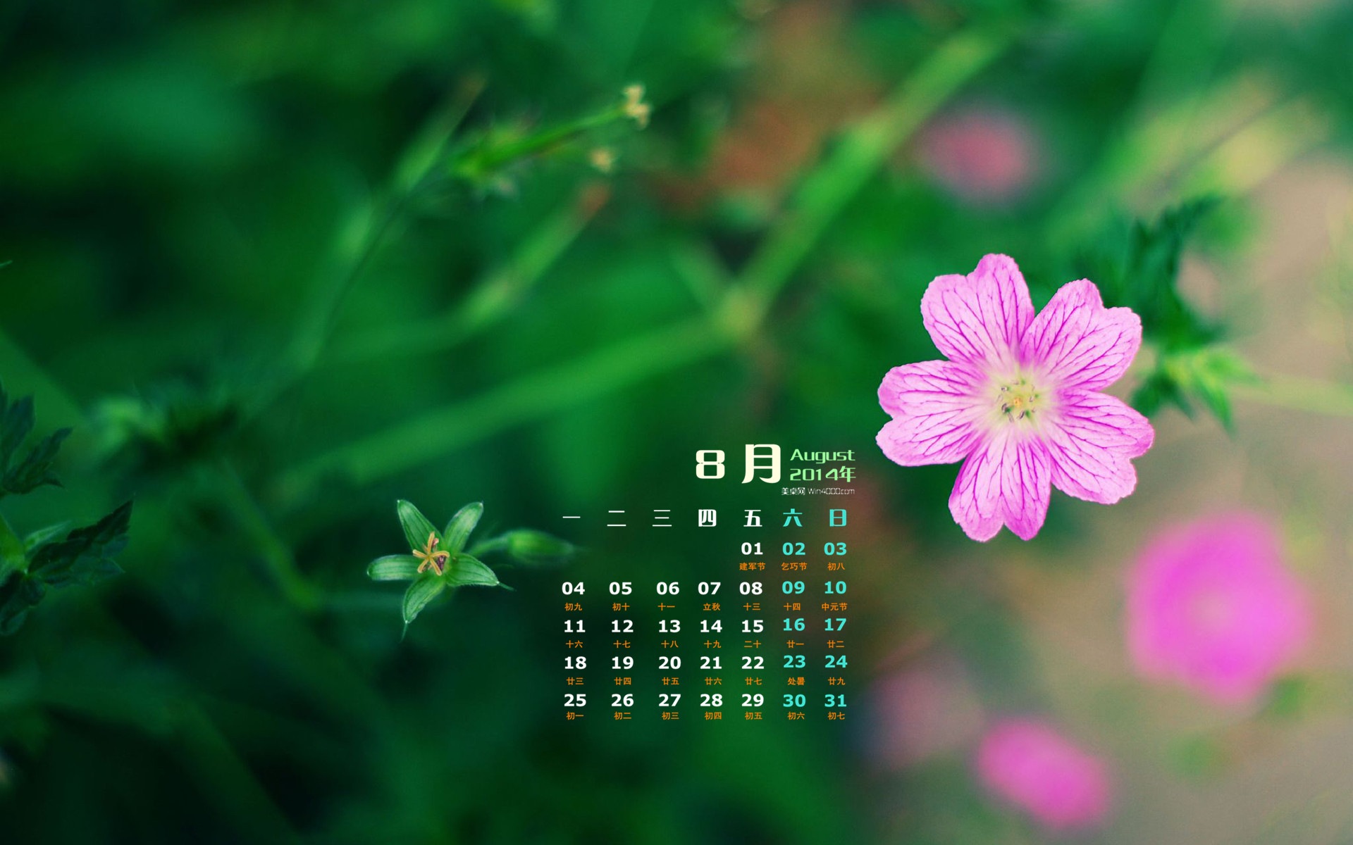 2014年8月 月曆壁紙(一) #10 - 1920x1200