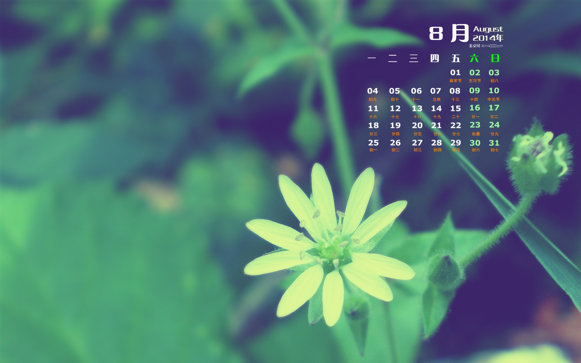 August 2014 Kalender Wallpaper (1) #15 - 1920x1200