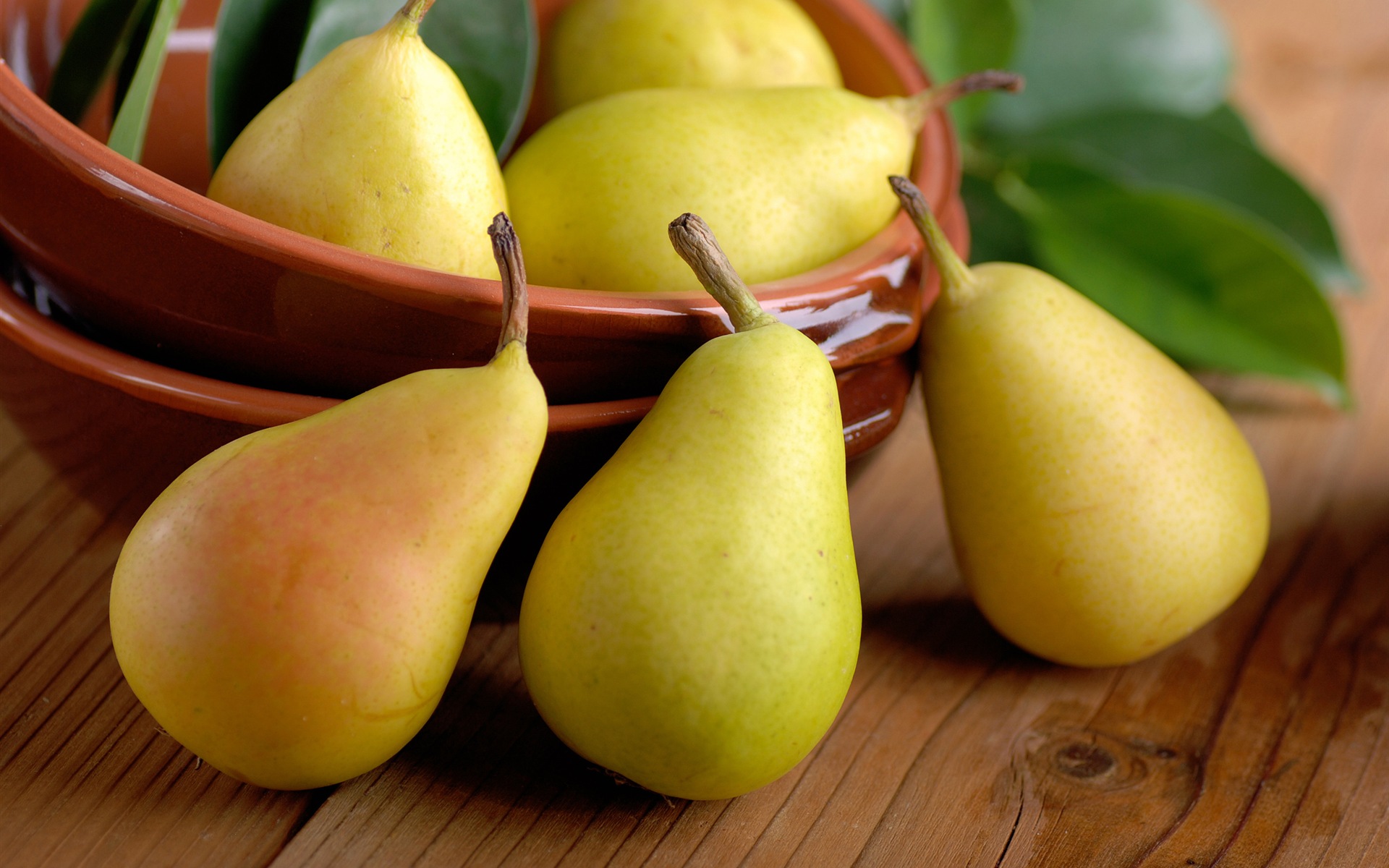 Succulent fruit, pears close-up HD wallpapers #3 - 1920x1200