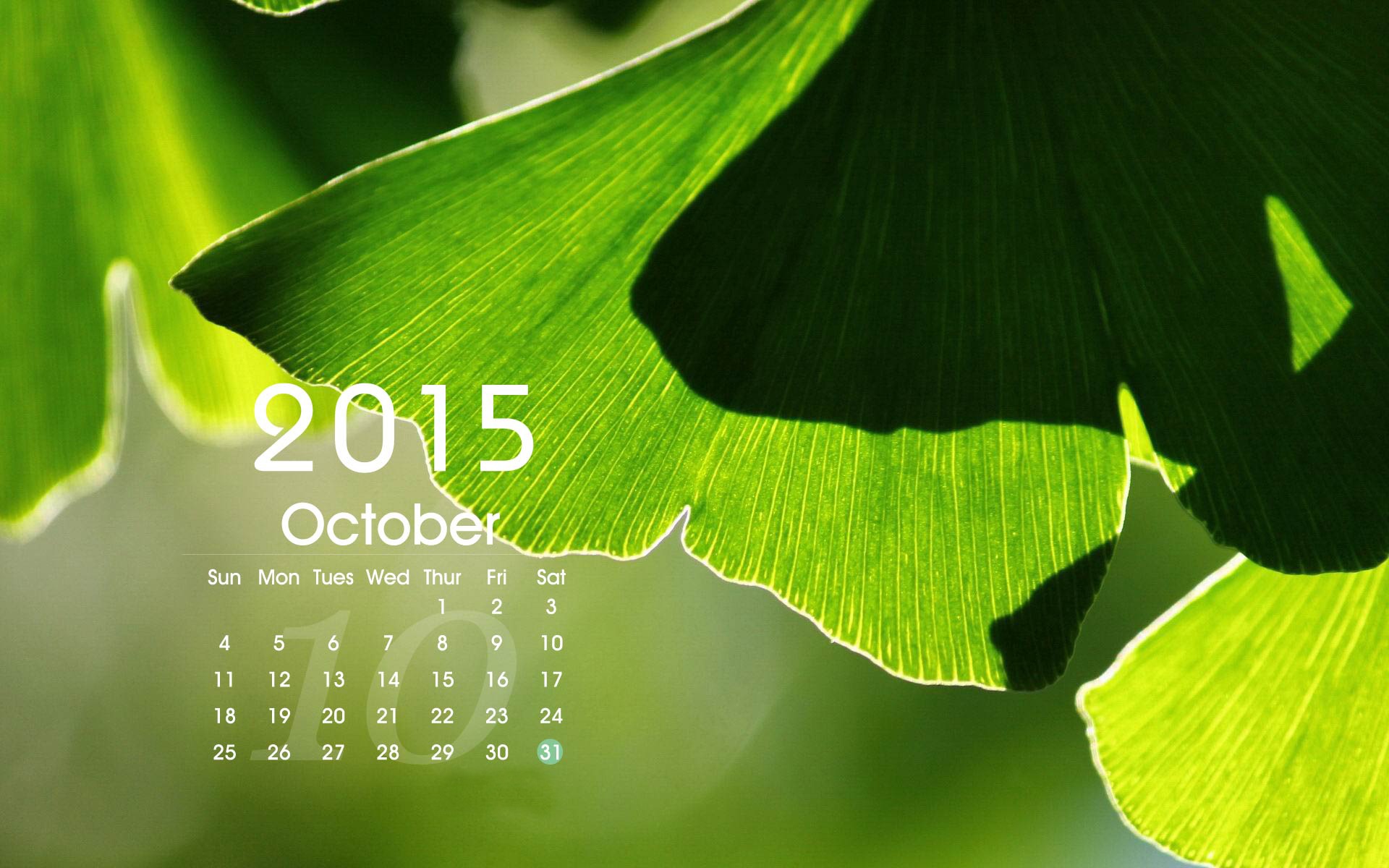Kalendář 2015 HD tapety na plochu #15 - 1920x1200
