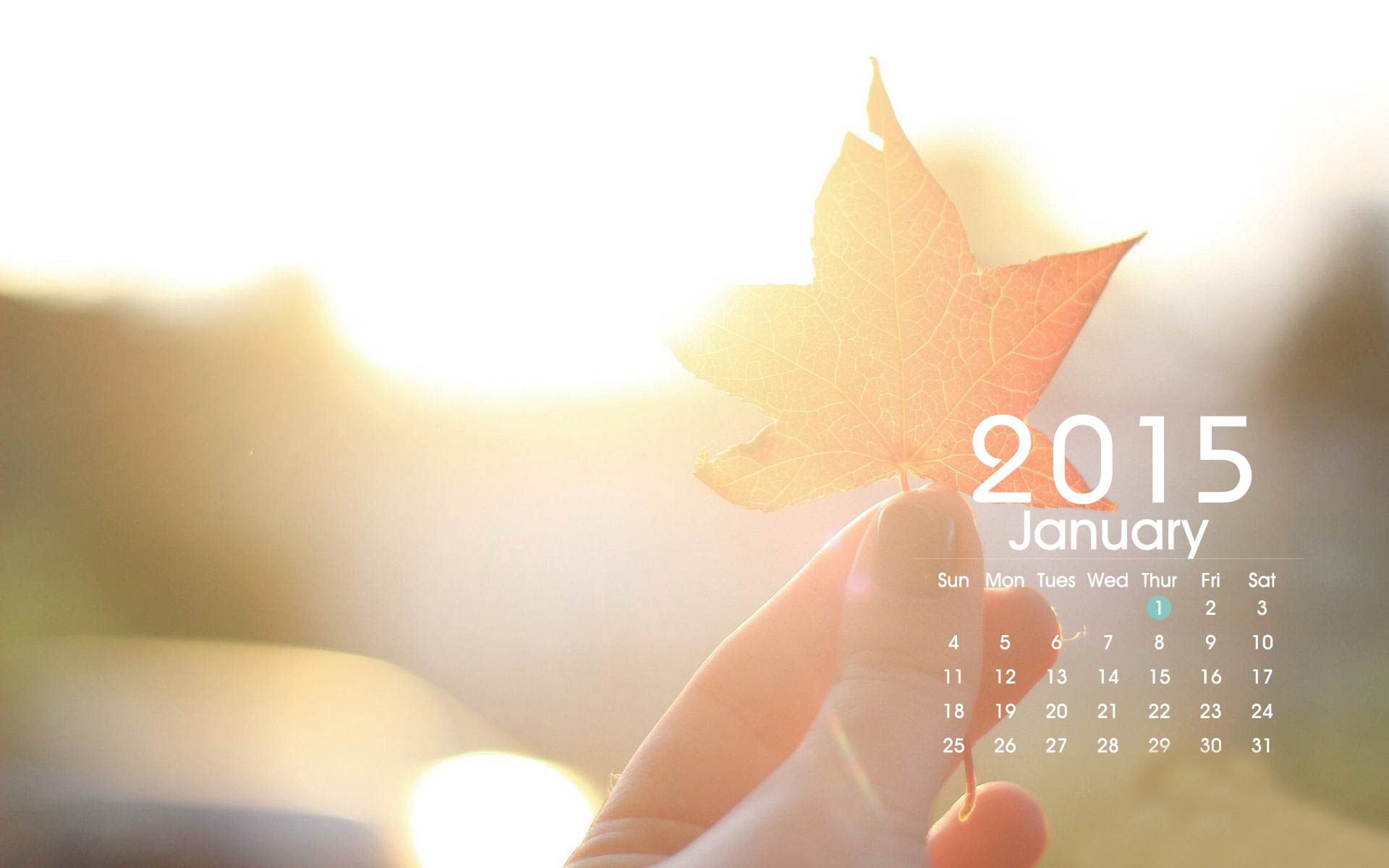 Kalendář 2015 HD tapety na plochu #23 - 1920x1200