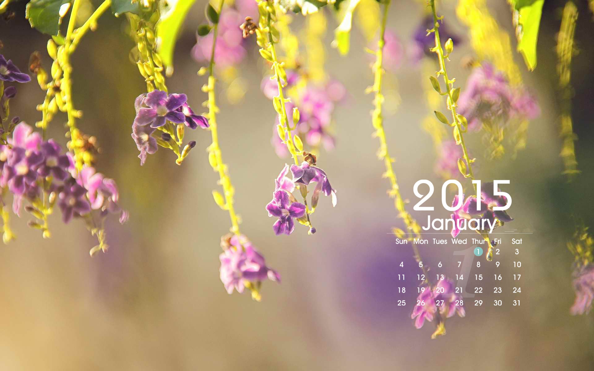 January 2015 calendar wallpaper (1) #1 - 1920x1200